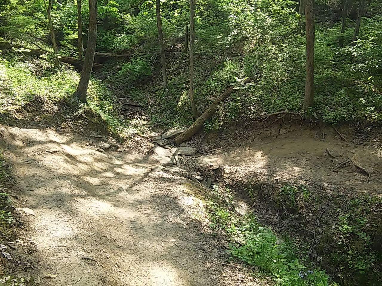 A sunlit forest path winding through a lush green landscape, with trees on either side and a small streambed visible in the foreground. The ground is mainly dirt with some rocks and patches of grass, surrounded by dense foliage. Devou Park mountain bike trail.