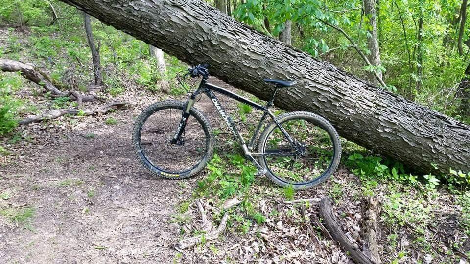 A mountain bike parked next to a fallen tree on a dirt path surrounded by lush greenery. Devou Park mountain bike trail.