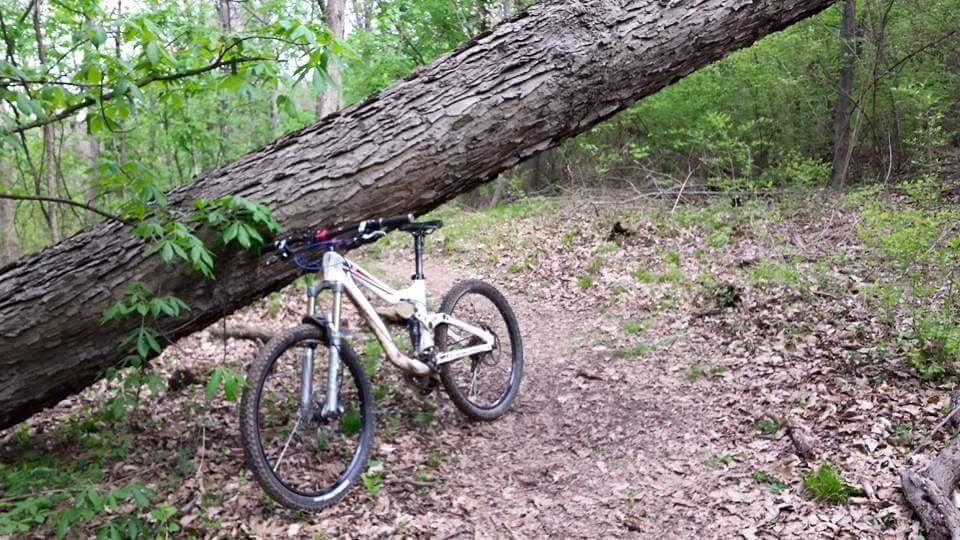 A mountain bike leaning against a large fallen tree on a woodland path, surrounded by green foliage and layers of leaves on the ground. Devou Park mountain bike trail.