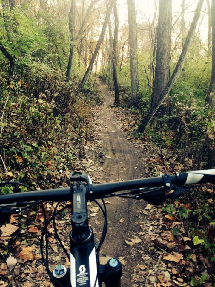 A mountain bike is in the foreground, with the handlebars visible. The view ahead shows a dirt trail winding through a forest, surrounded by trees and greenery with scattered autumn leaves. The lighting suggests a soft, warm atmosphere, indicating early morning or late afternoon. Devou Park mountain bike trail.
