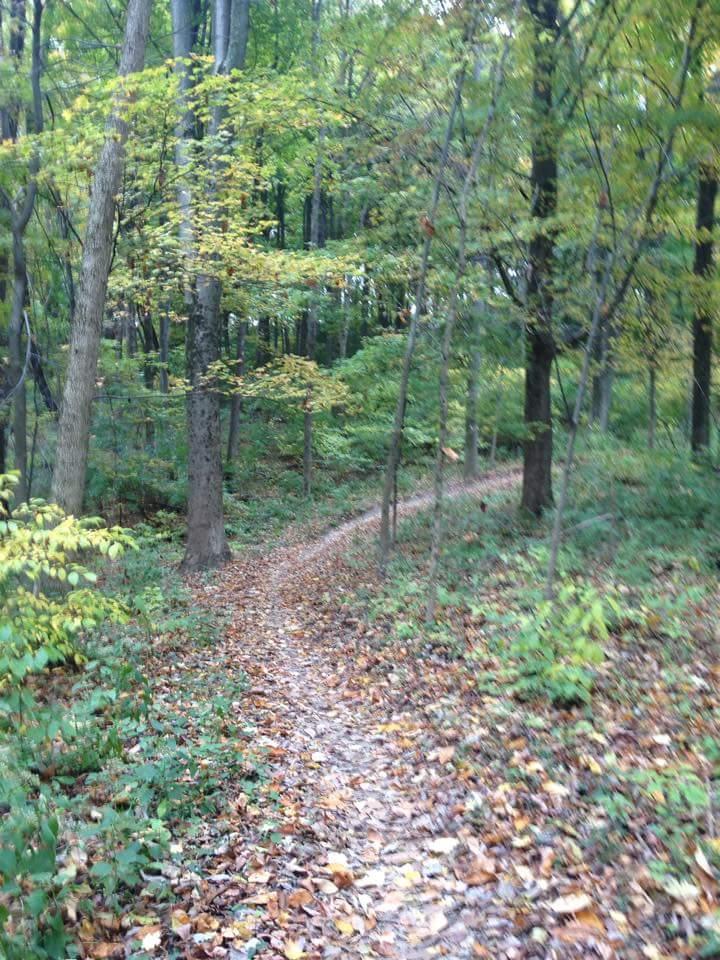 A winding dirt path through a lush, green forest, surrounded by trees displaying autumn leaves. The path is lined with fallen leaves, indicating the season, and invites exploration into the serene woodland. Devou Park mountain bike trail.