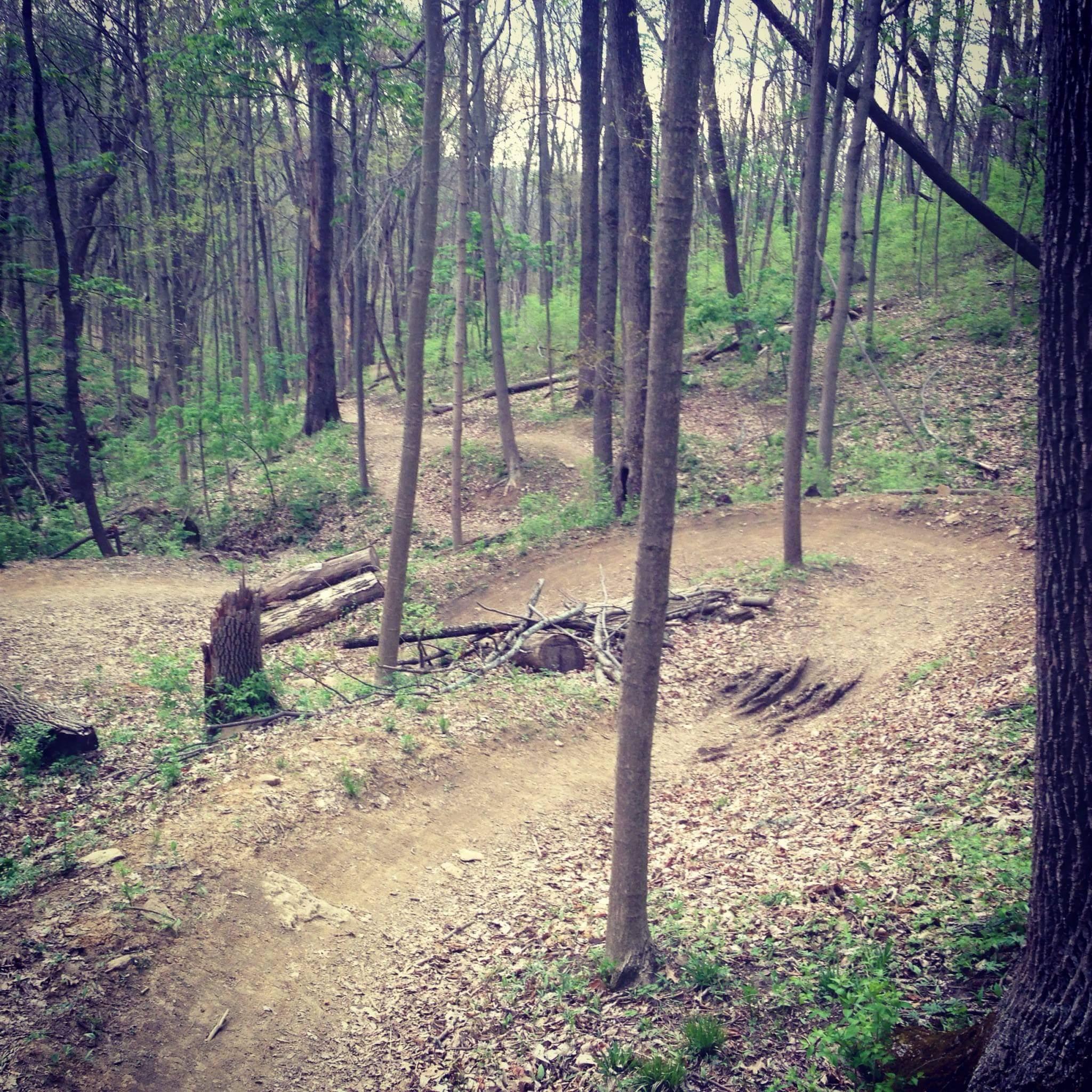 A winding dirt trail surrounded by trees in a forested area, with fallen logs and green foliage scattered throughout the scene. Devou Park mountain bike trail.