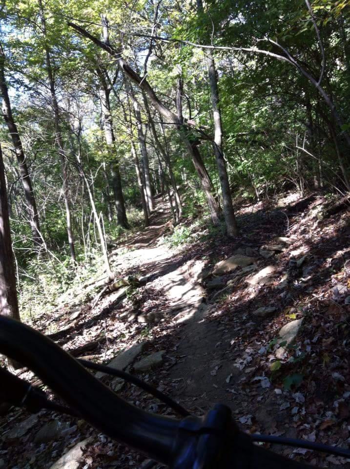 A narrow, winding dirt path through a wooded area, with trees on both sides and fallen leaves scattered on the ground. The photo is taken from a low angle, showing part of a bicycle handlebar in the foreground, suggesting an outdoor biking adventure. Sunlight filters through the leaves, creating a dappled light effect on the trail. Devou Park mountain bike trail.