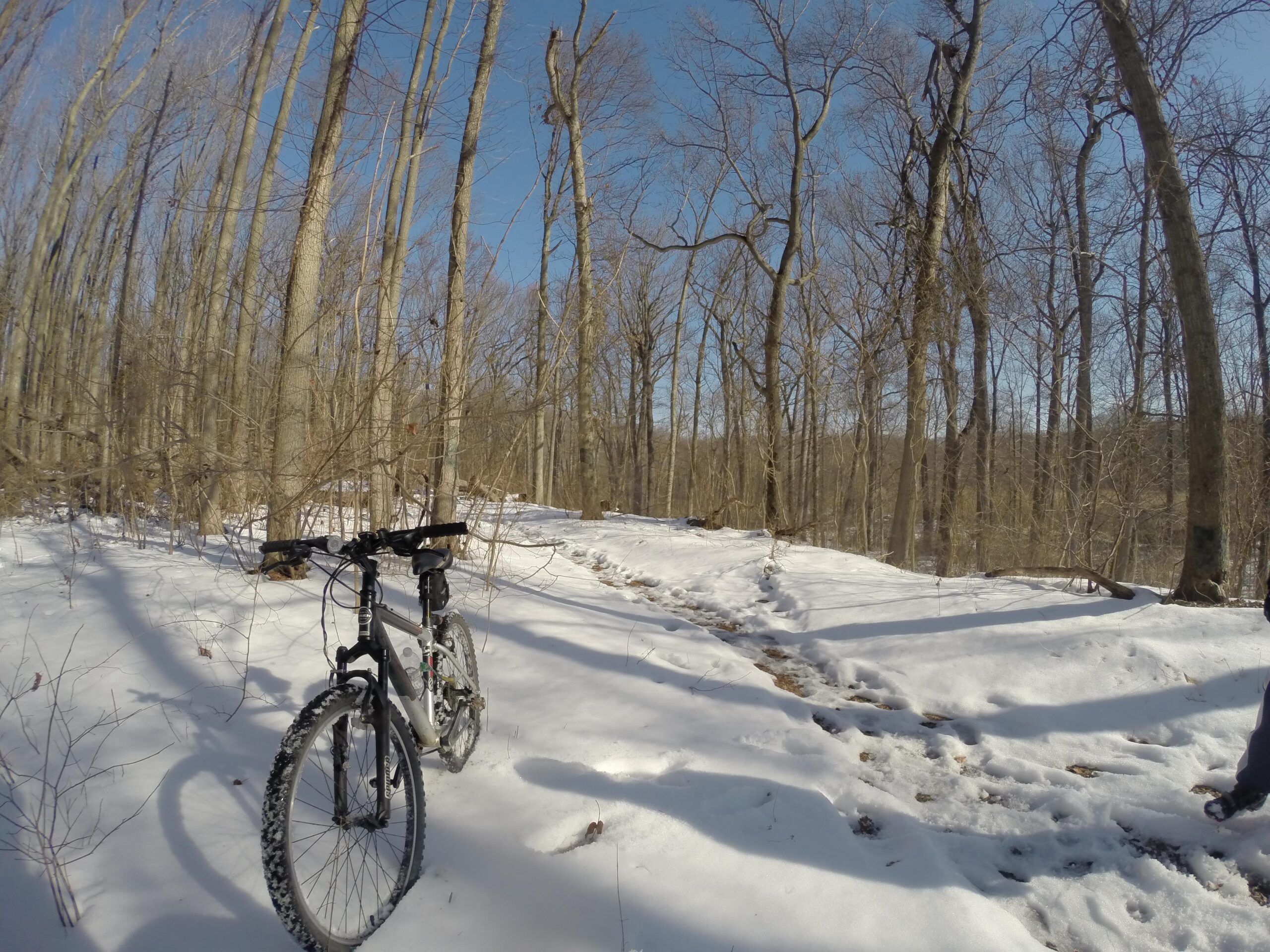 A black and white mountain bike is propped up on a snowy trail in a wooded area. Leafless trees rise in the background under a clear blue sky, while fresh snow blankets the ground, creating a peaceful winter landscape. Trails seperated by streets mountain bike trail.