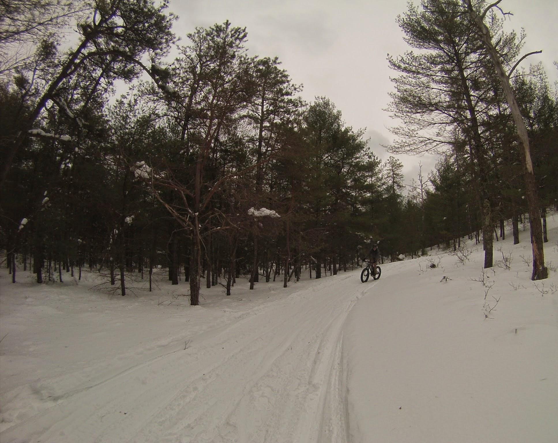 A person riding a fat bike on a snowy trail through a forest, surrounded by evergreen trees and a cloudy sky. The path shows tire tracks in the snow, indicating recent activity. Myles Standish Forest mountain bike trail.