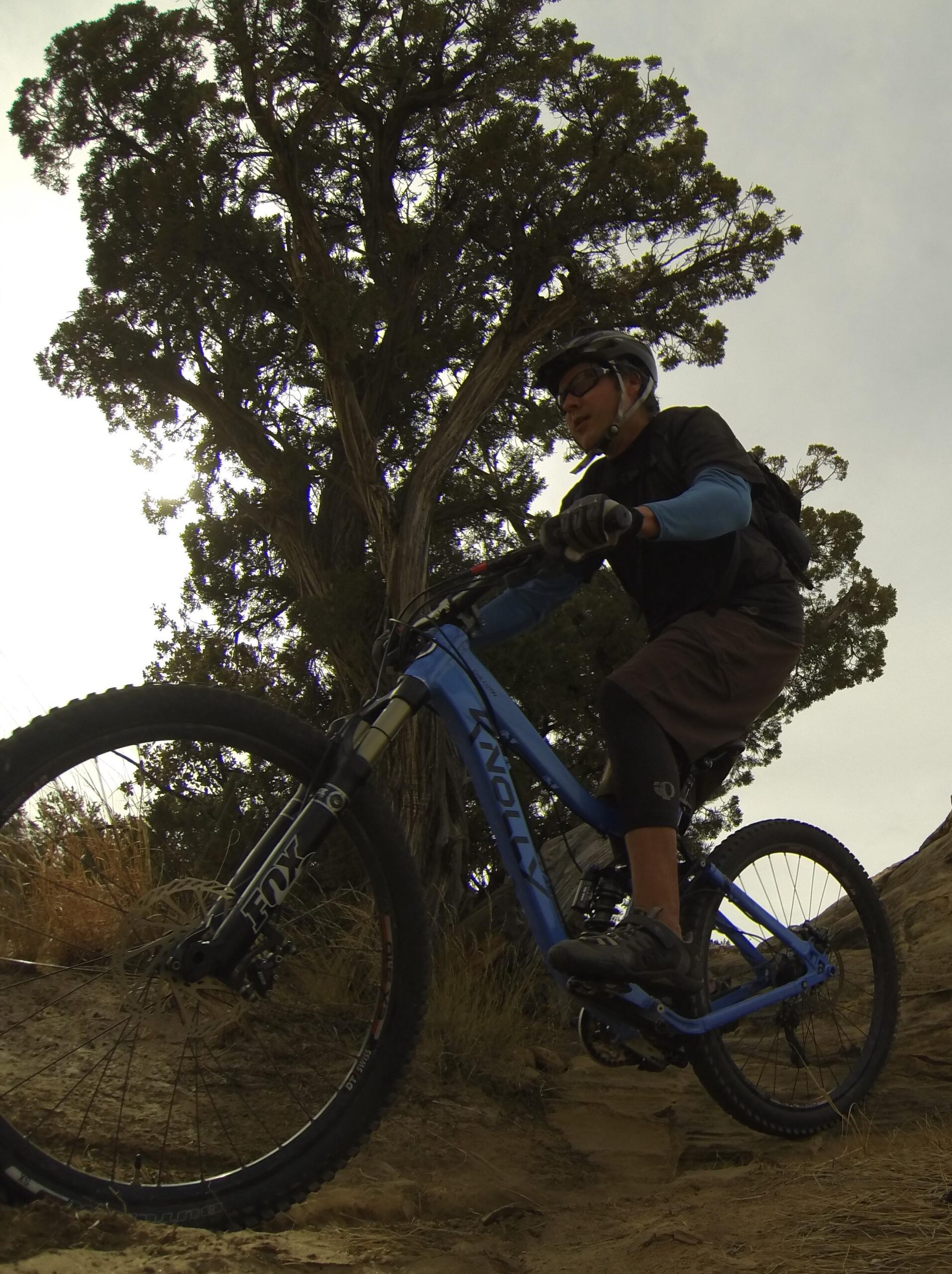 A mountain biker rides a blue bike on a rocky trail beneath a large tree, with grass and dirt surrounding the path. The sun shines through the branches, illuminating the scene while the rider wears a helmet and protective gear. Bell Rock Area Trails mountain bike trail.