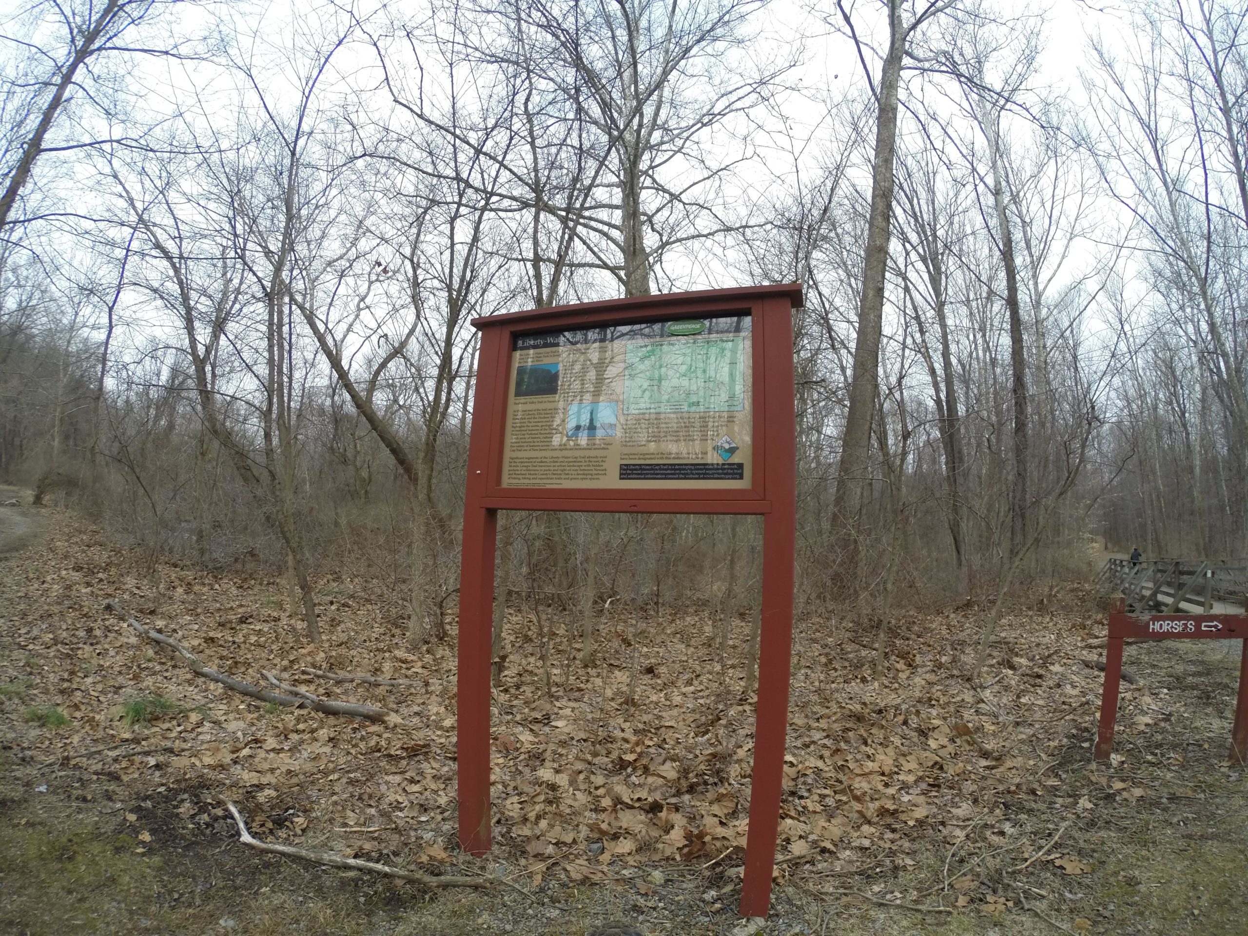 A wooden information sign stands in a sparsely wooded area, partially covered with fallen leaves. The sign features a map and text about the surrounding trail, with some bare trees in the background and a hint of a path leading further into the woods. A second sign directing towards horse trails is visible to the right. The scene appears overcast and tranquil. Lewis Morris mountain bike trail.