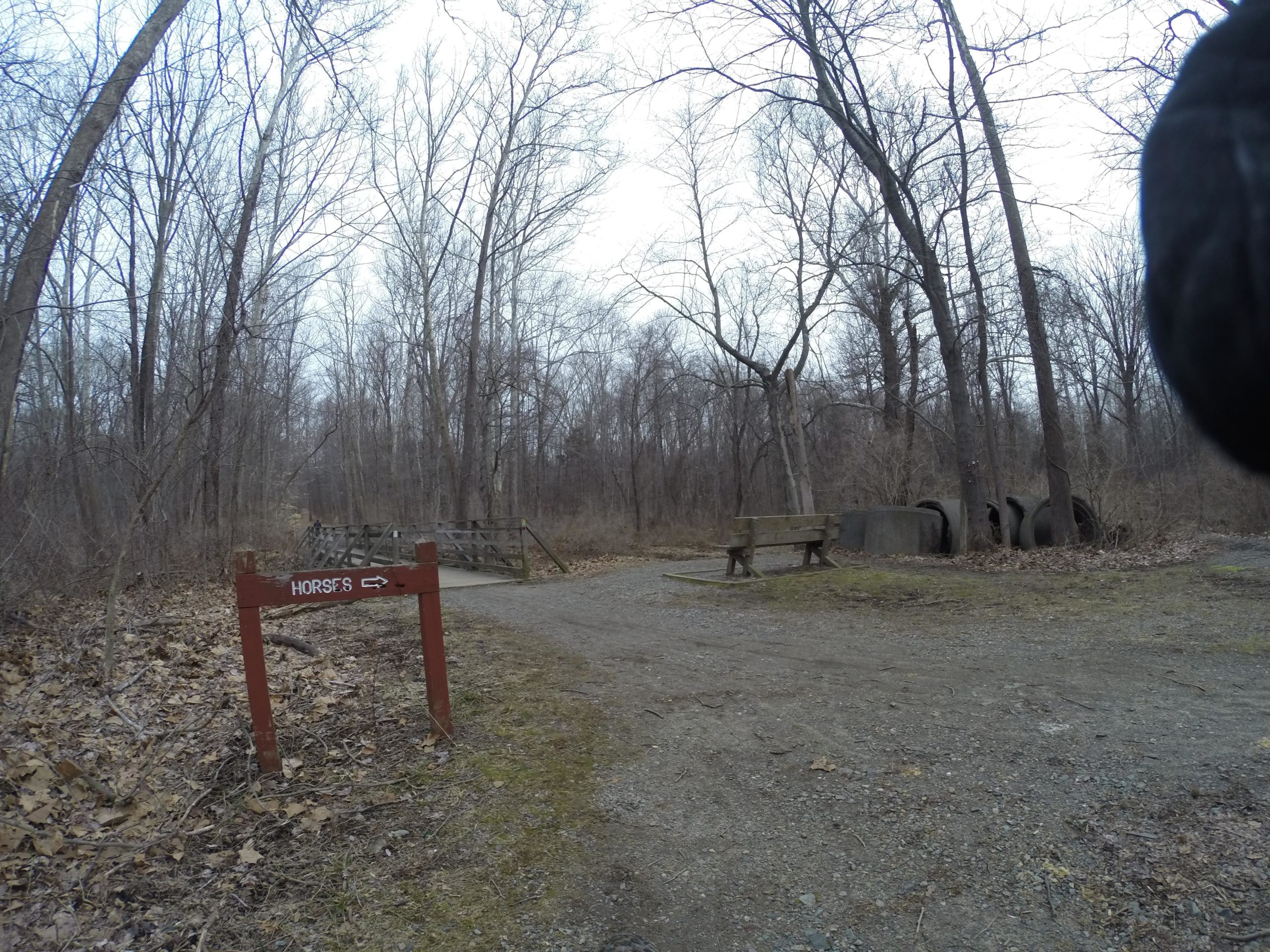 A wooded area in early spring with bare trees, featuring a dirt path that splits off. A wooden sign labeled "HORSES" points to the right, indicating a trail for horseback riding. A wooden bench is visible in the scene, and large tires are partially concealed by trees in the background. Lewis Morris mountain bike trail.