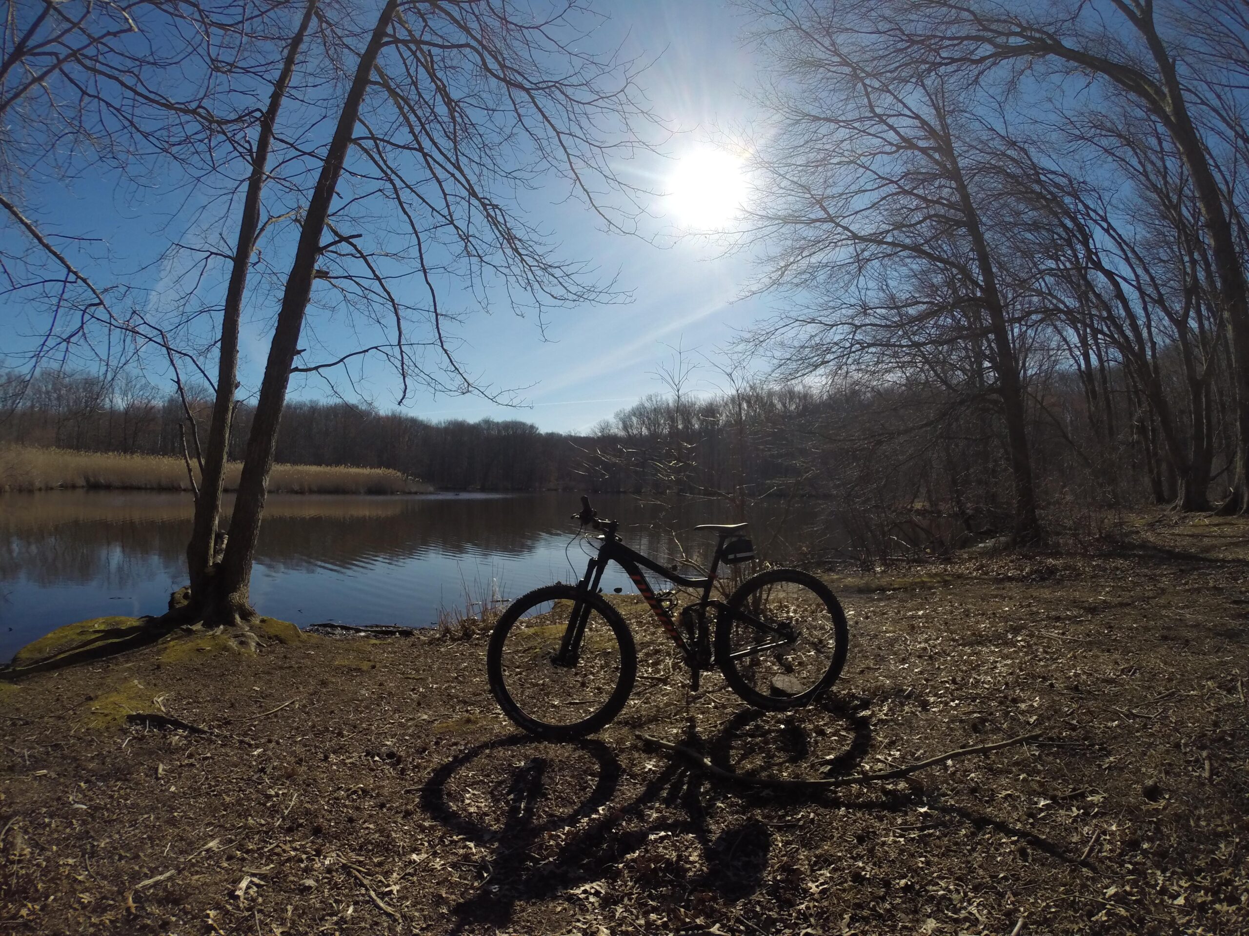 A mountain bike resting on the ground next to a calm pond, surrounded by bare trees and a clear blue sky, with the sun shining brightly overhead. Wolfes Pond park mountain bike trail.