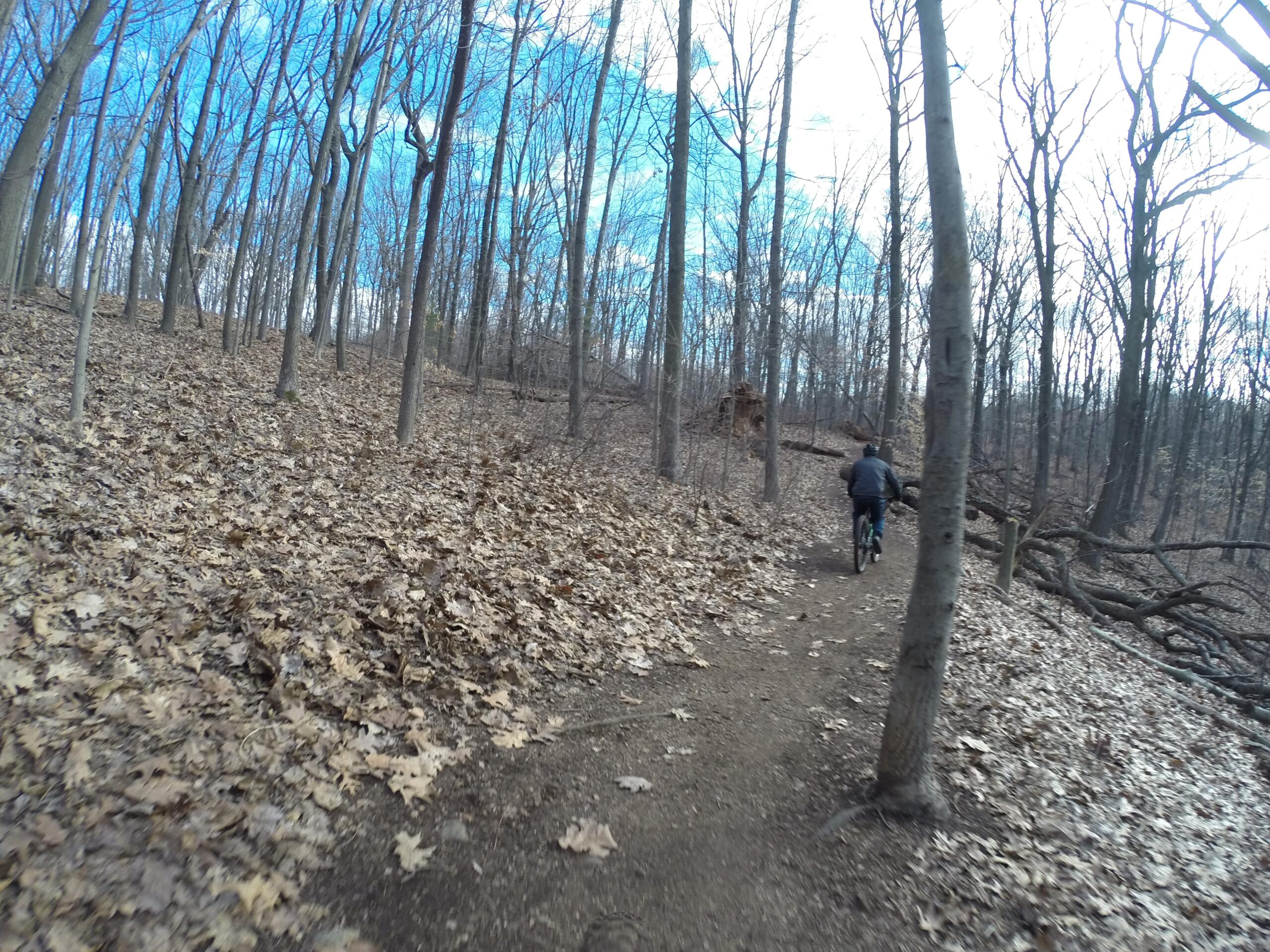 A person riding a bicycle along a dirt trail in a wooded area, surrounded by tall, bare trees and a carpet of fallen leaves. The sky is partly cloudy, with some blue visible. Richmond Avenue and Forest Hill road mountain bike trail.