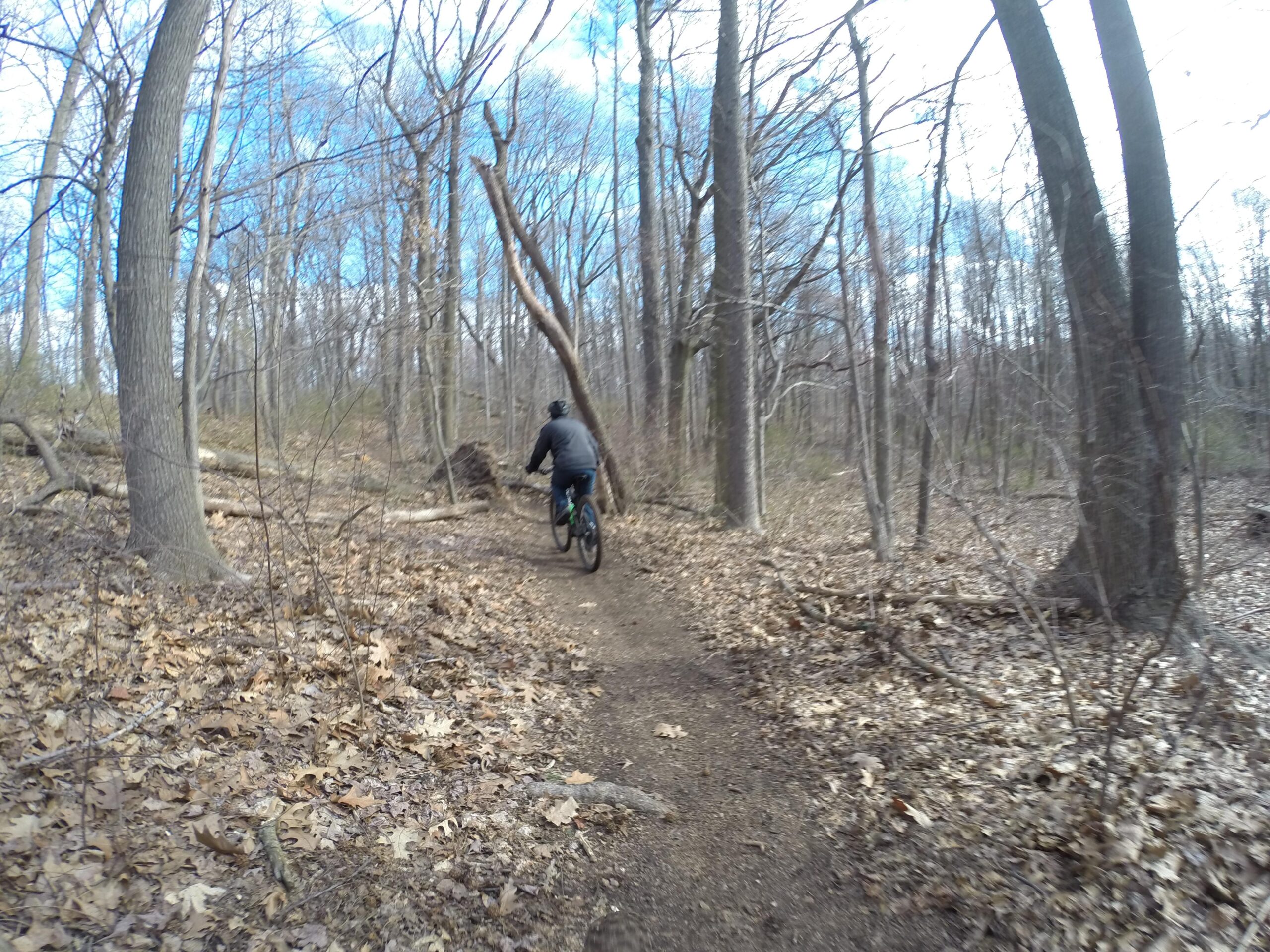 A person riding a mountain bike along a dirt trail in a wooded area, surrounded by bare trees and scattered leaves on the ground, with a bright blue sky above. Richmond Avenue and Forest Hill road mountain bike trail.