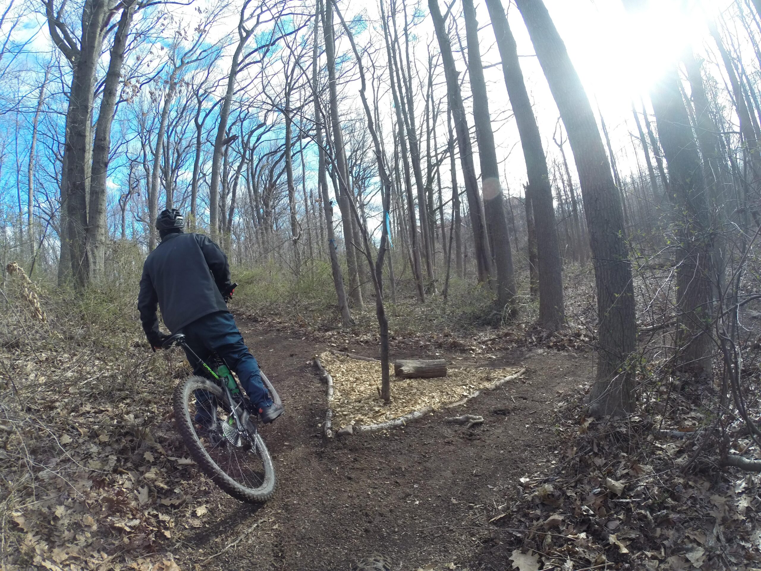 A person riding a mountain bike on a dirt trail through a wooded area. The rider, seen from behind, is wearing a helmet and is navigating a bend in the trail. Leafless trees surround the path, which has scattered leaves and a small obstacle made of wood nearby. The sky is blue with some clouds, indicating a clear day. Richmond Avenue and Forest Hill road mountain bike trail.