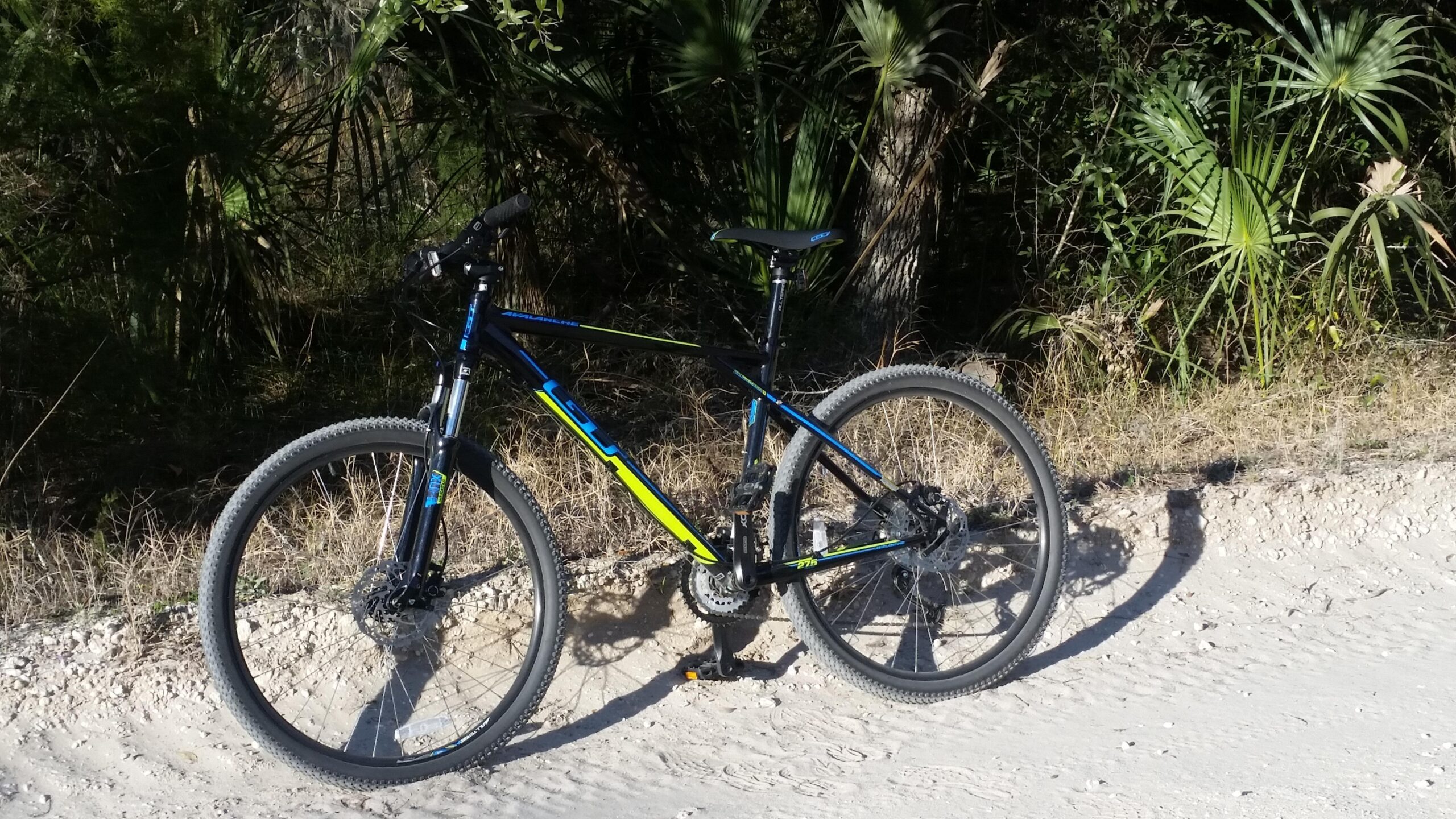 GT Sport: A black and blue mountain bike with green accents parked on a sandy trail surrounded by lush greenery.