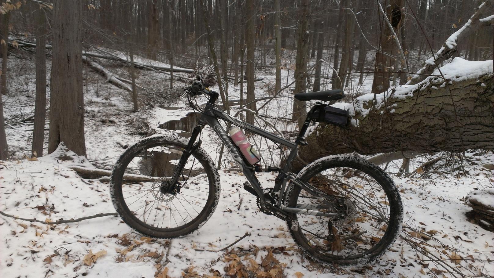 Mountain bike leaning against a fallen tree in a snowy forest, with patches of snow on the ground and leaf litter visible. A small stream can be seen in the background among the bare trees. Trails seperated by streets mountain bike trail.