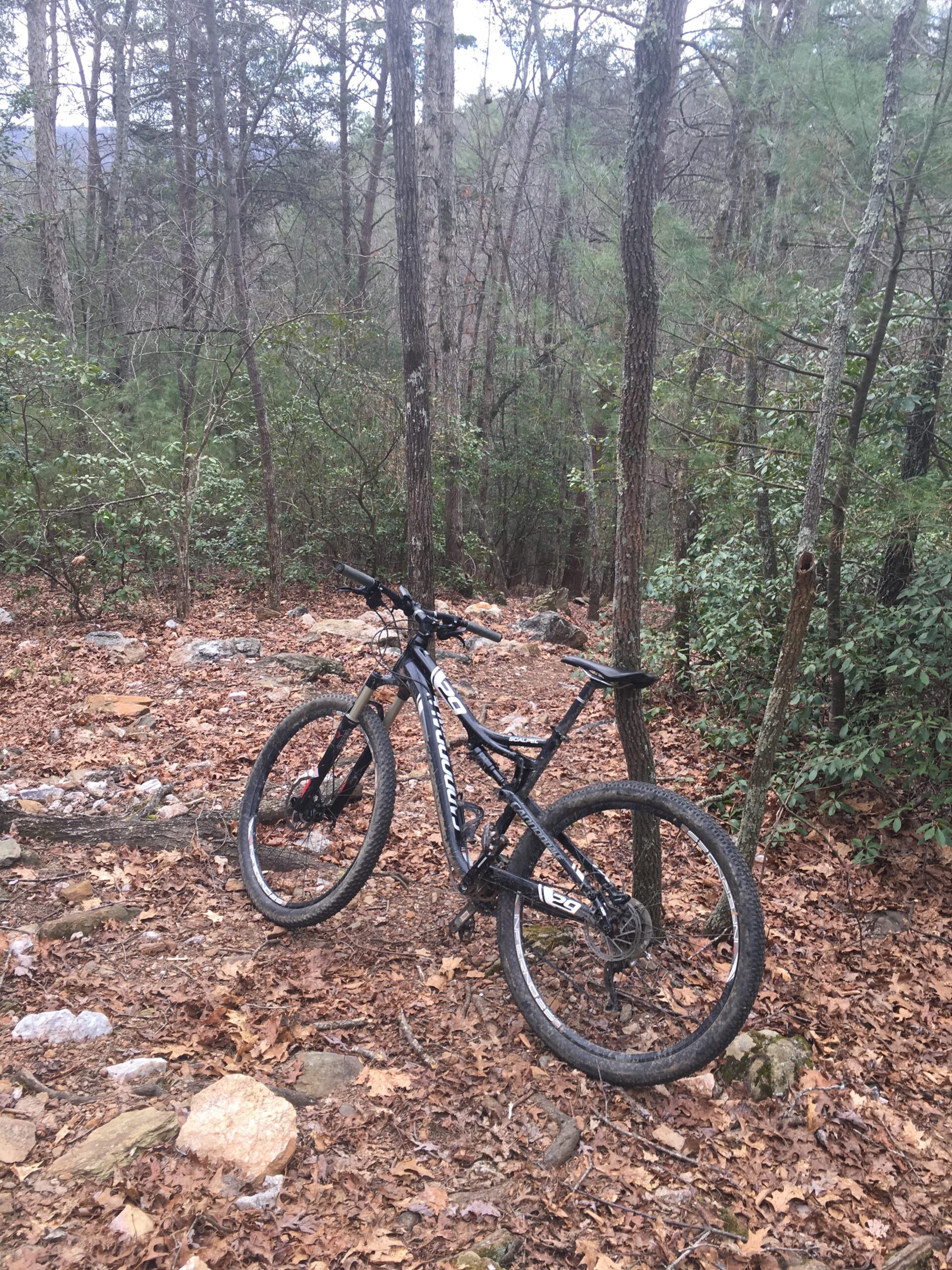 Cannondale Scalpel: A black mountain bike resting on a dirt trail surrounded by trees and fallen leaves, with rocky terrain visible in the background.