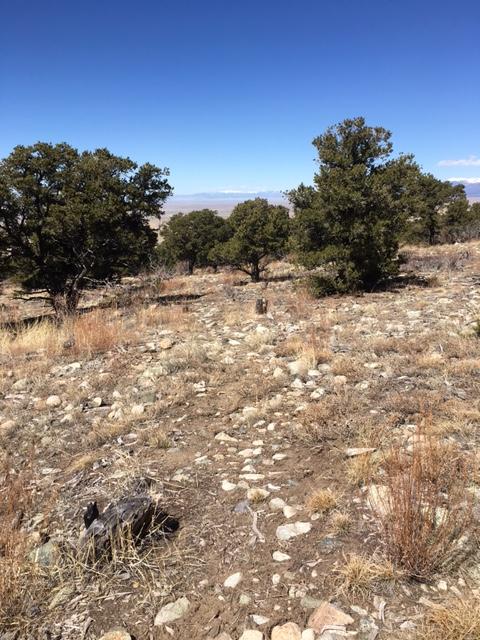 A rocky trail winding through a rugged landscape with scattered shrubs and trees under a clear blue sky. The ground is covered with stones and dry grass, suggesting a natural, untamed environment. Zapata Falls mountain bike trail.