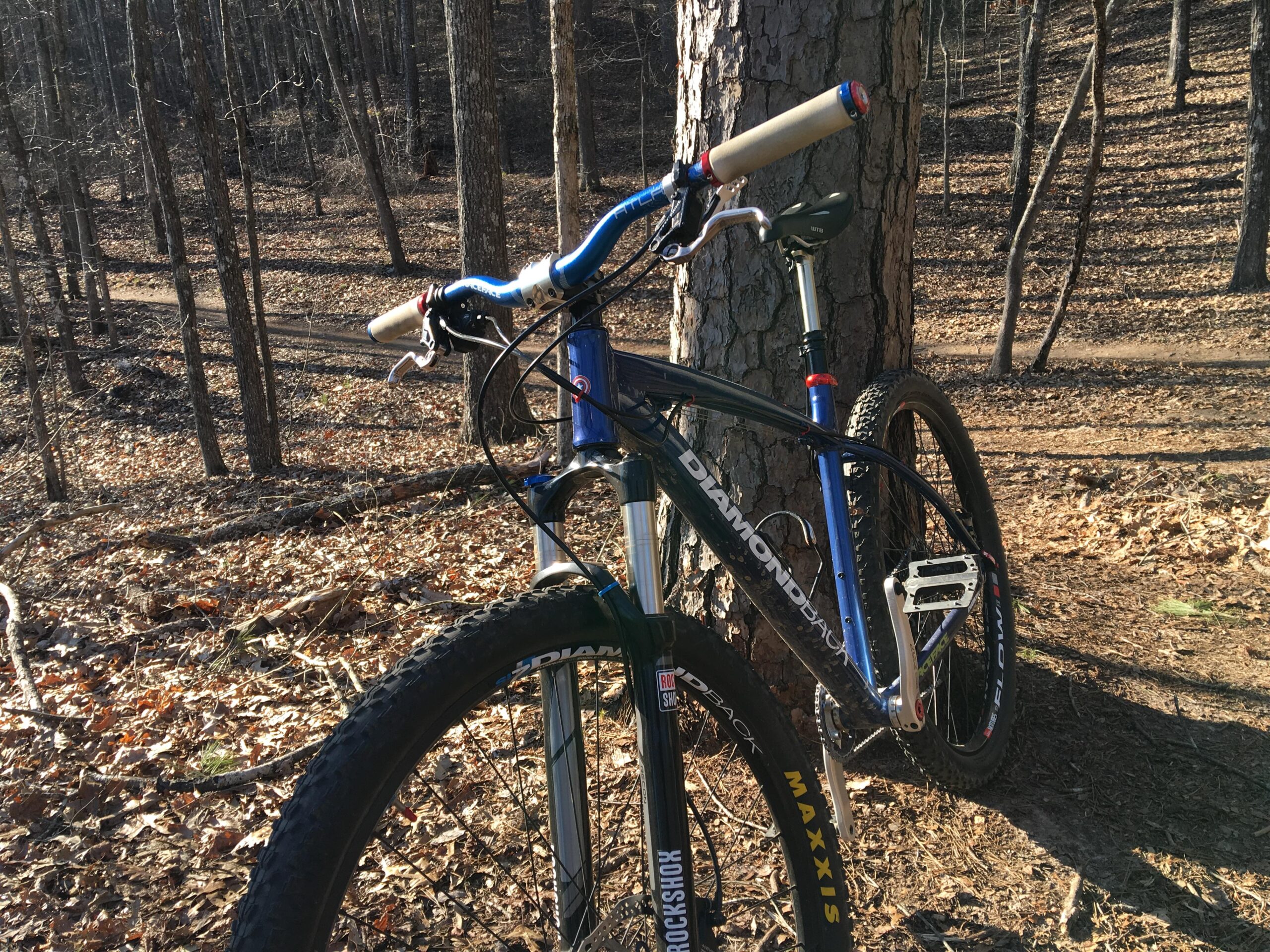 Diamondback Overdrive Sport: A mountain bike leaning against a tree in a wooded area, surrounded by fallen leaves and tall trees. The bike features blue handlebars, a sleek frame, and knobby tires, set against a dirt path winding through the forest.