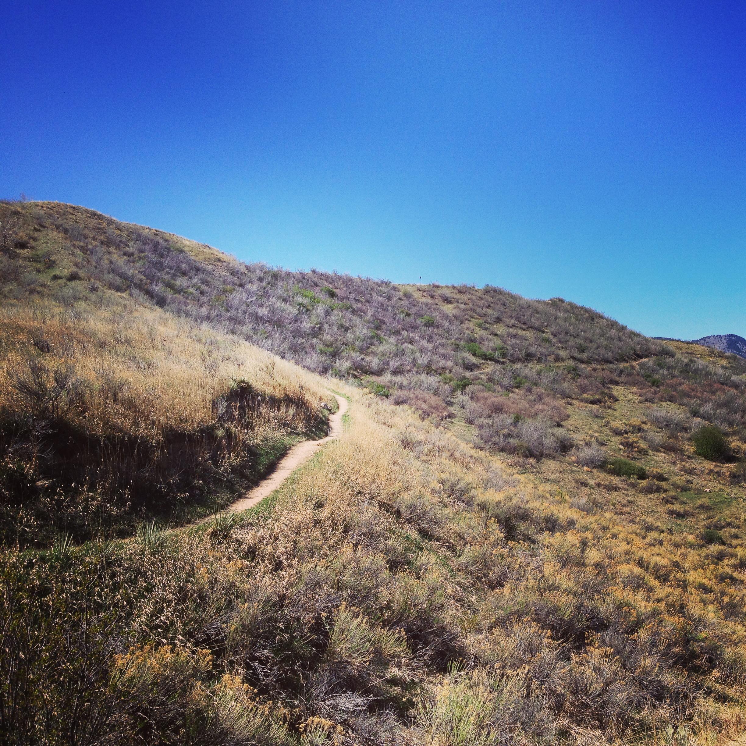 A winding dirt path through a grassy hillside, flanked by dry shrubs under a clear blue sky. The terrain is gently rolling, with hills in the background, creating a serene outdoor landscape. Bear Creek Lake Park mountain bike trail.