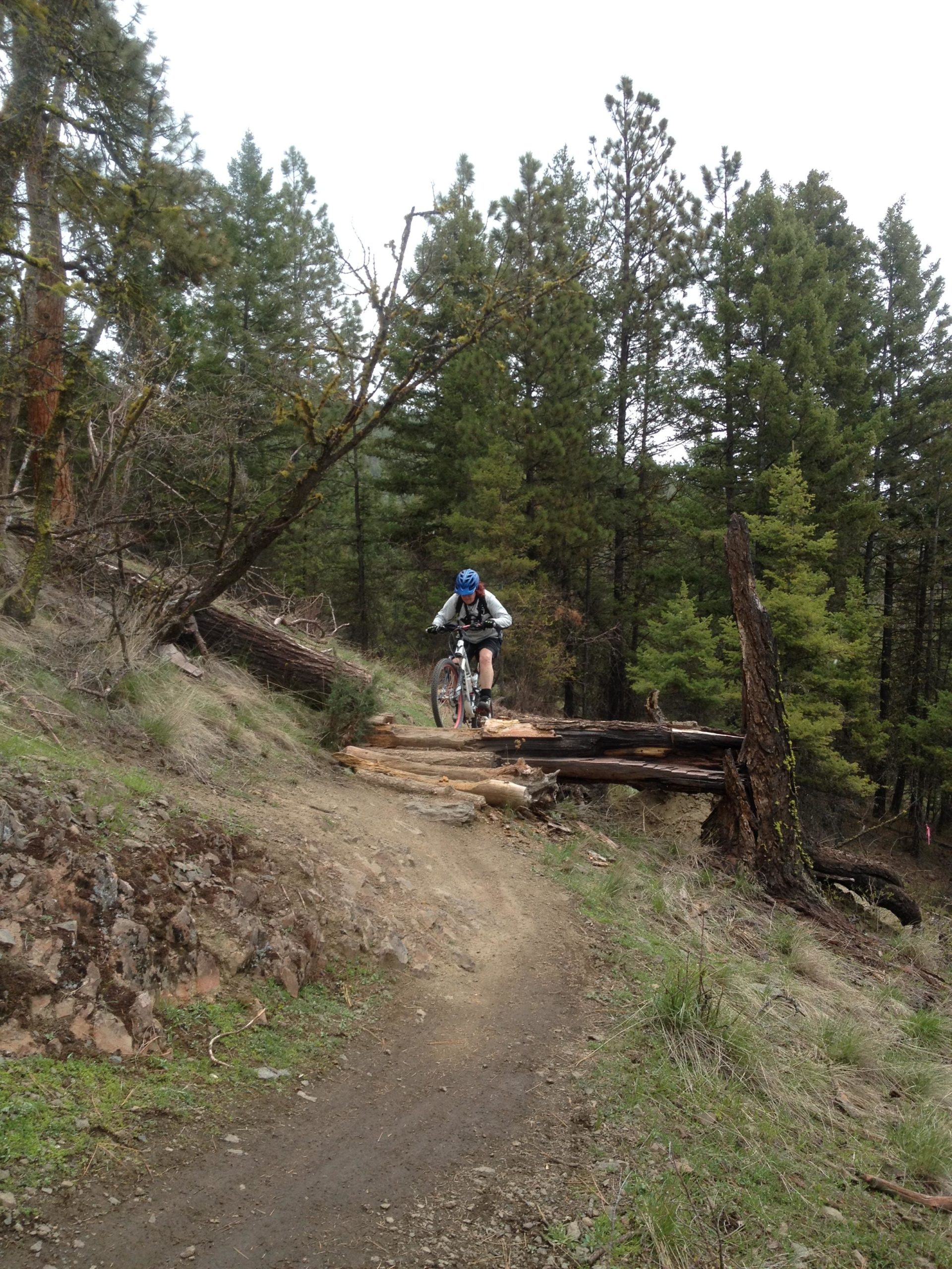 A mountain biker navigating a dirt trail in a forested area, approaching a small wooden bridge made of logs. Pine trees surround the path, and the scene captures the outdoor adventure environment. Smith Creek mountain bike trail.