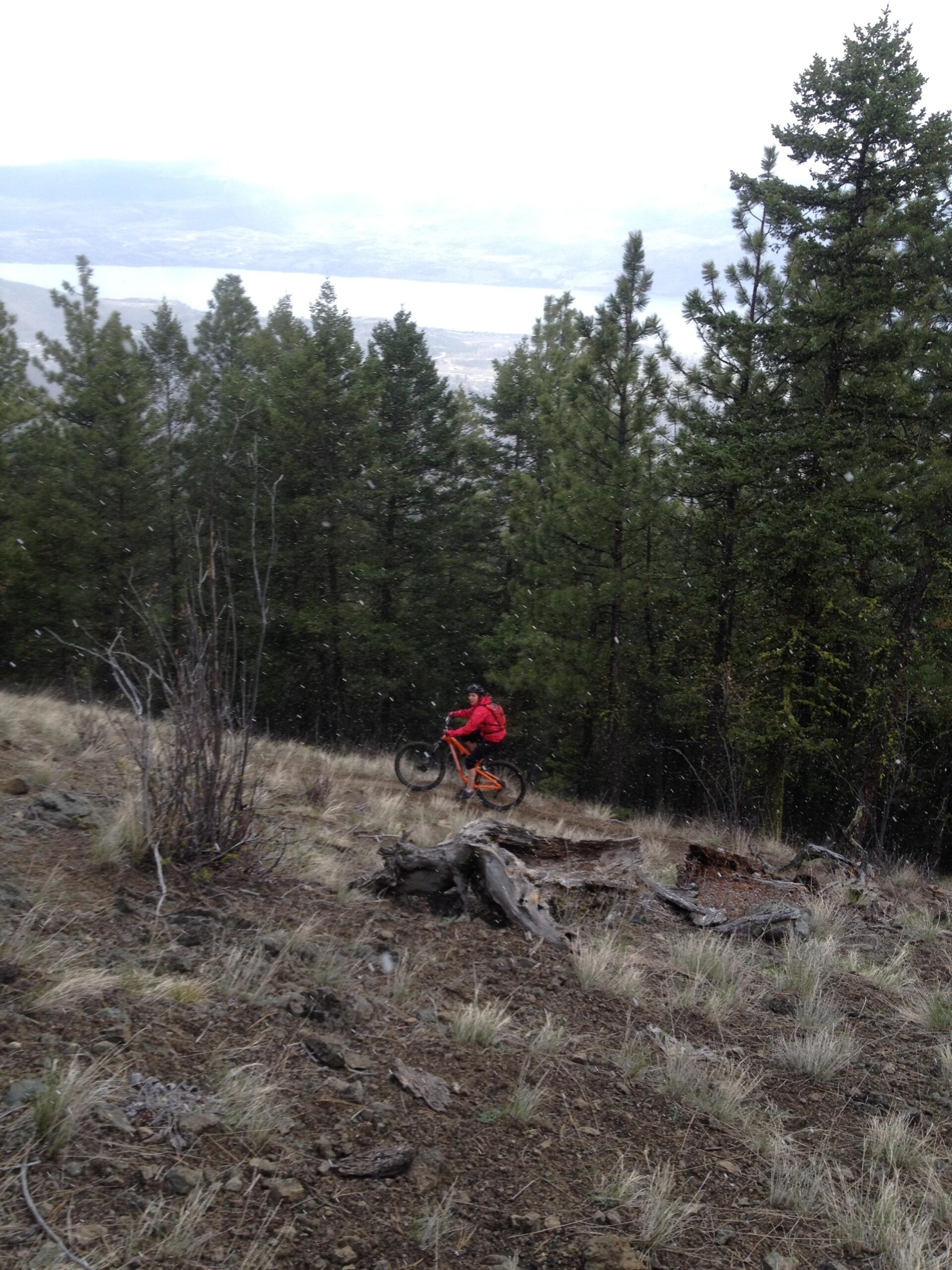 A mountain biker in a bright red jacket rides along a rugged trail surrounded by tall evergreen trees, with a view of a lake in the background. The scene appears to be in a cooler, potentially snowy environment. Smith Creek mountain bike trail.