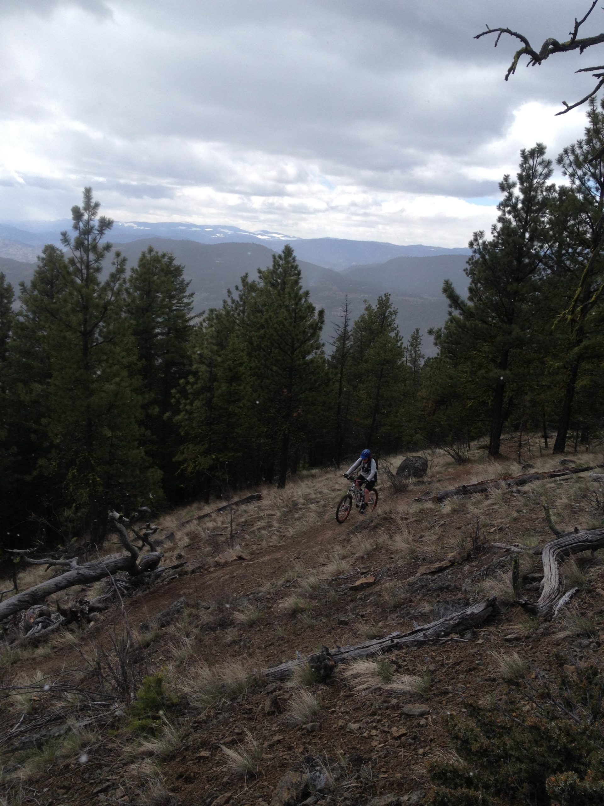 A mountain biker navigating a rugged trail surrounded by tall pine trees, with a backdrop of distant mountains under a cloudy sky. The terrain features patches of grass and rocky outcrops, creating a scenic outdoor environment for biking. Smith Creek mountain bike trail.