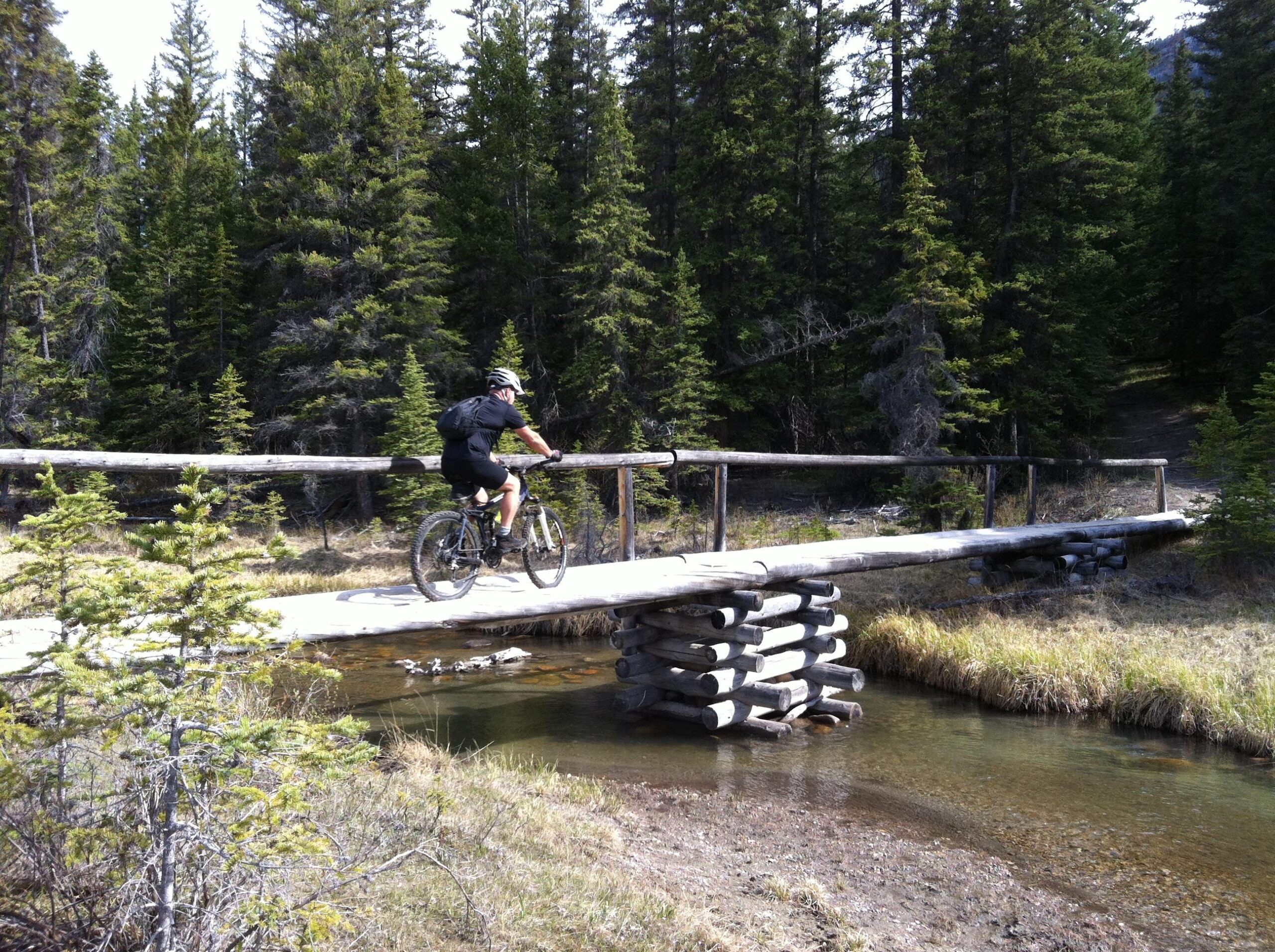 A mountain biker riding over a wooden bridge spanning a shallow stream, surrounded by dense evergreen trees and grasses in a natural setting. The Overlander mountain bike trail.