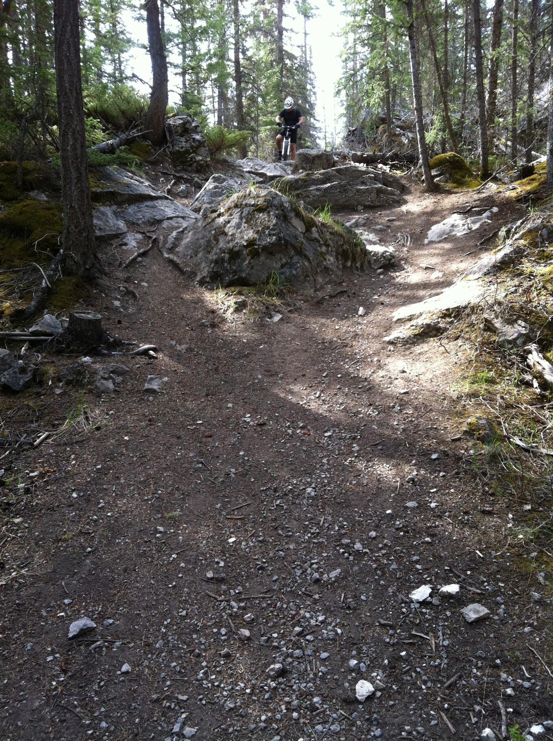 A mountain biker navigating a rocky trail surrounded by trees in a forested area, with sunlight filtering through the branches. The path is uneven and strewn with stones, indicating a challenging terrain for cycling. The Overlander mountain bike trail.
