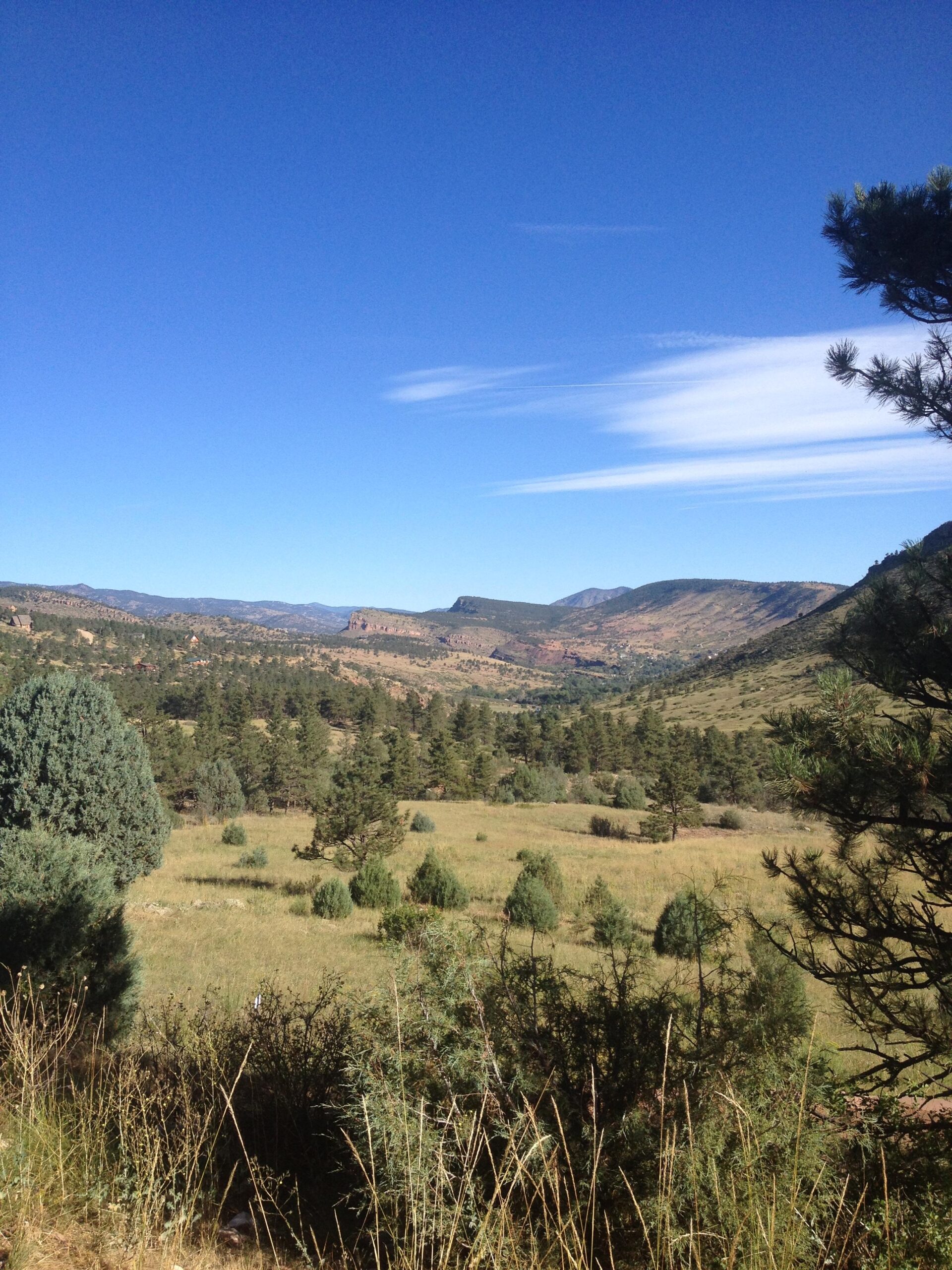 A panoramic view of a mountainous landscape under a clear blue sky, featuring rolling hills, scattered trees, and patches of green grass in the foreground. The scene captures the natural beauty of the outdoors, with distant mountains visible on the horizon. Heil Valley Ranch mountain bike trail.