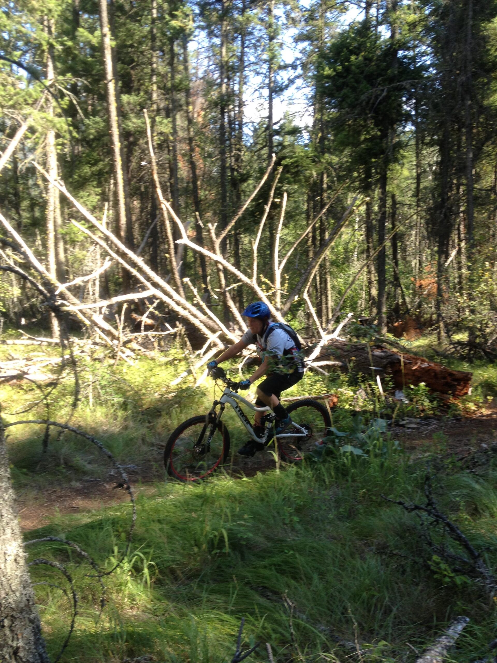 A mountain biker navigates a forest trail surrounded by tall trees and fallen branches, with sunlight filtering through the foliage. The cyclist is wearing a helmet and a backpack, showcasing an active outdoor adventure in a natural setting. Rose Valley Resevoir mountain bike trail.
