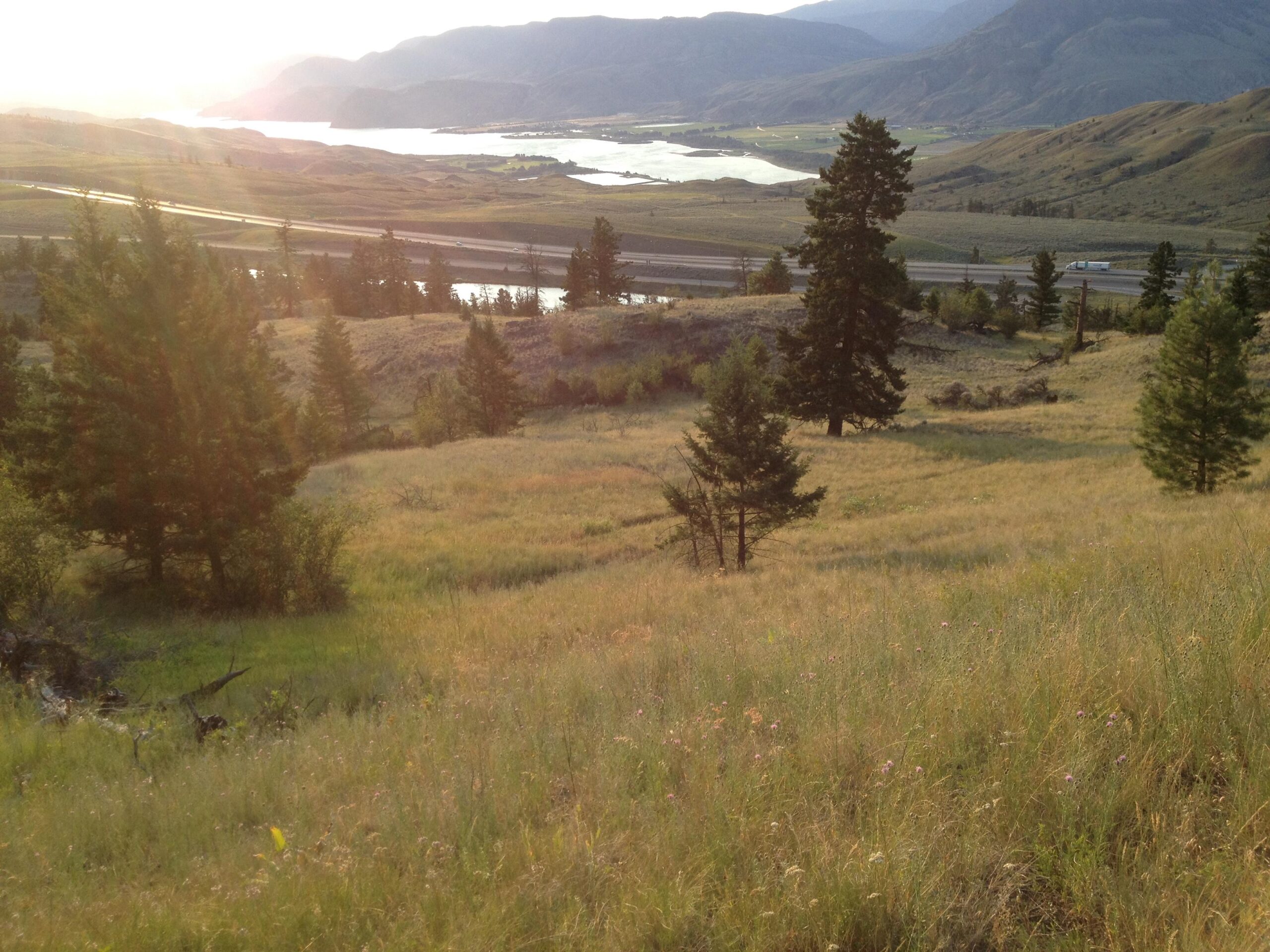 A scenic view of rolling hills and dense trees, with a body of water in the distance under a warm, glowing sunlight. The foreground features grassy fields dotted with wildflowers, while a road runs along the edge of the water, surrounded by mountains in the background. Pineview mountain bike trail.