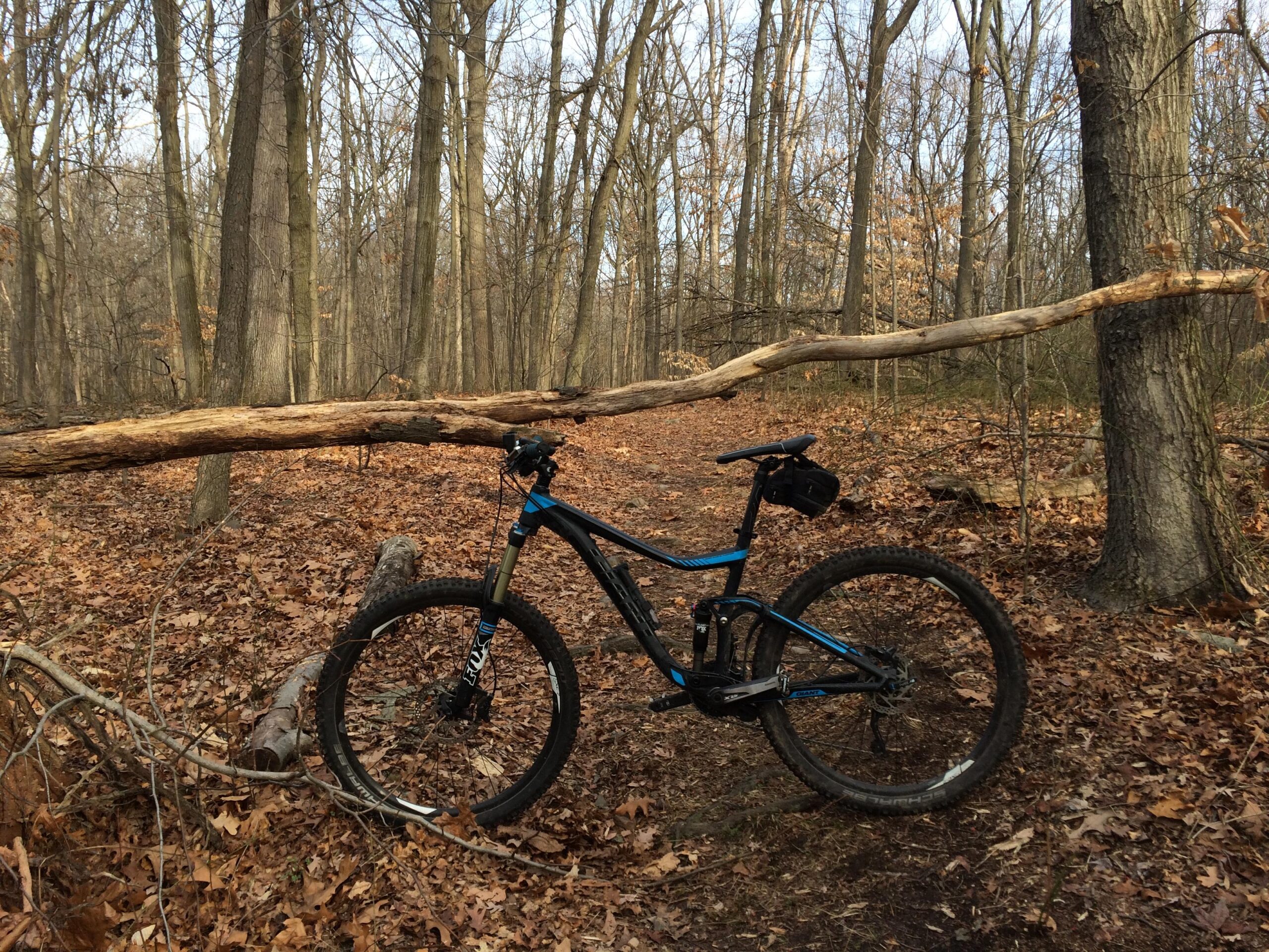 A mountain bike leaning against a log in a forested area with bare trees and fallen leaves on the ground. The scene captures a peaceful outdoor environment, suitable for biking or hiking. Trails seperated by streets mountain bike trail.