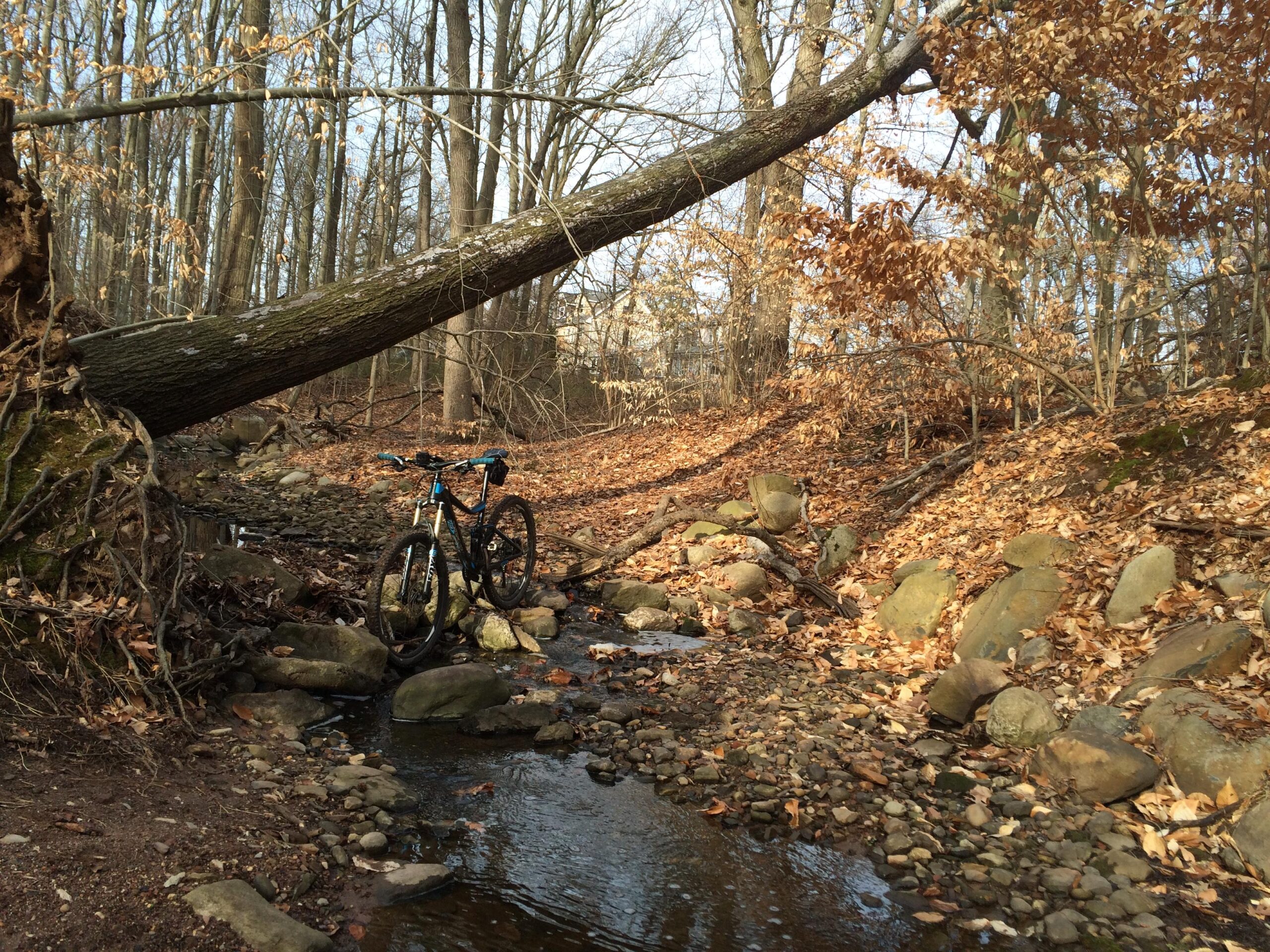 A mountain bike is leaning against a large fallen tree in a wooded area. A small stream flows through the rocky terrain, surrounded by autumn leaves scattered on the ground and trees in the background. Trails seperated by streets mountain bike trail.