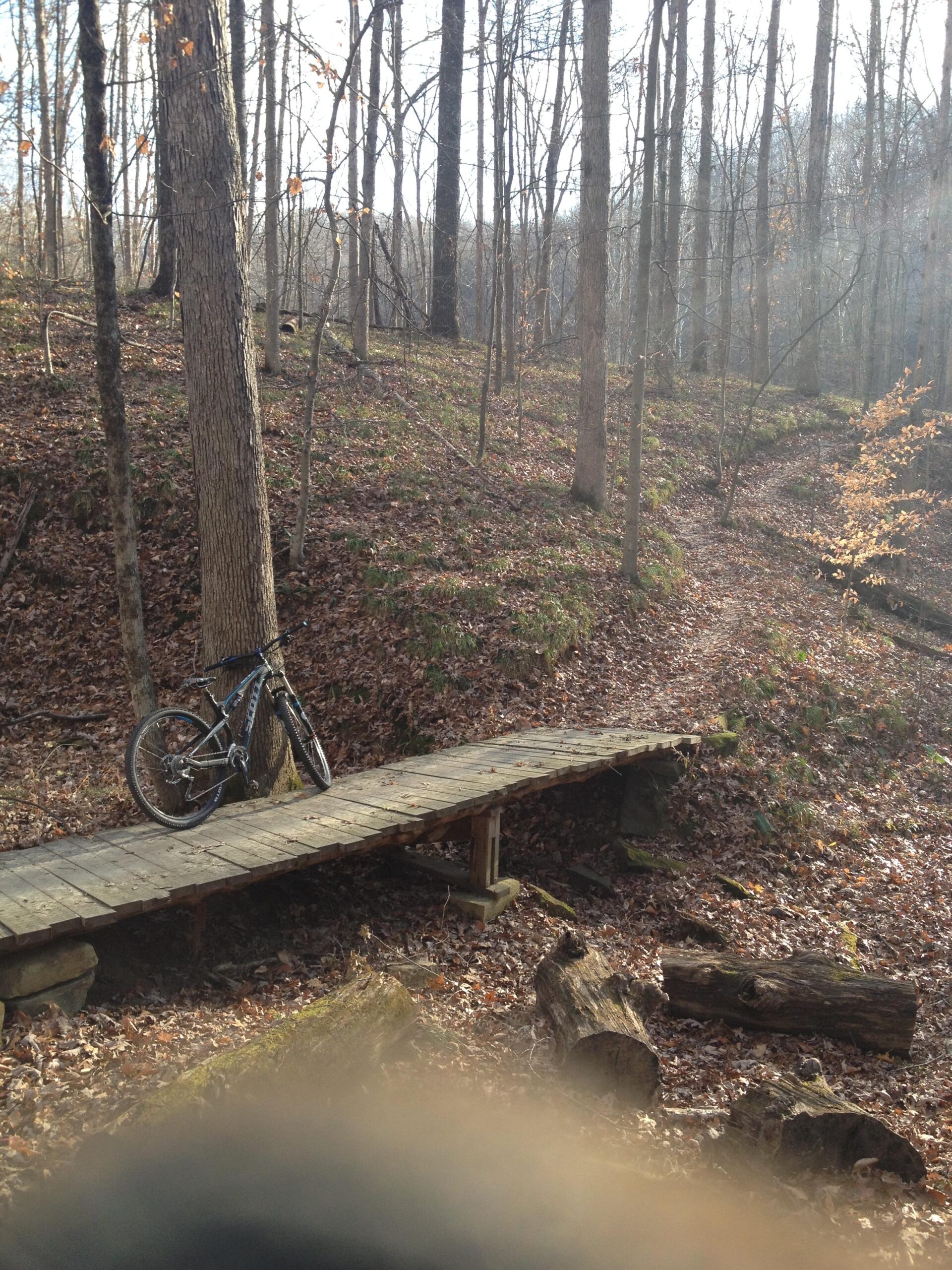 A mountain bike leaning against a tree near a wooden bridge in a forested area, with fallen leaves covering the ground and sunlight filtering through the trees. Brown County Park mountain bike trail.