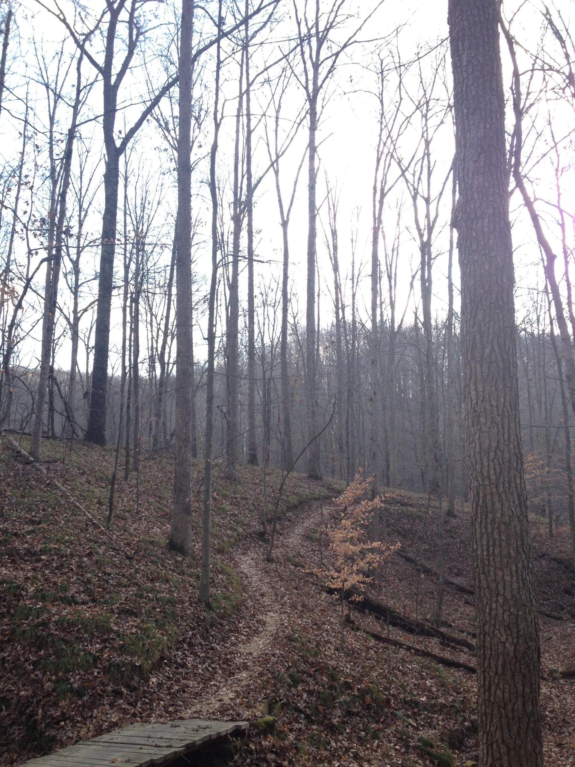 A winding dirt trail leads through a wooded area with bare trees, some showing signs of early spring foliage. The ground is covered in fallen leaves, and a small wooden bridge crosses a gentle slope. The scene is set under a bright, overcast sky. Brown County Park mountain bike trail.