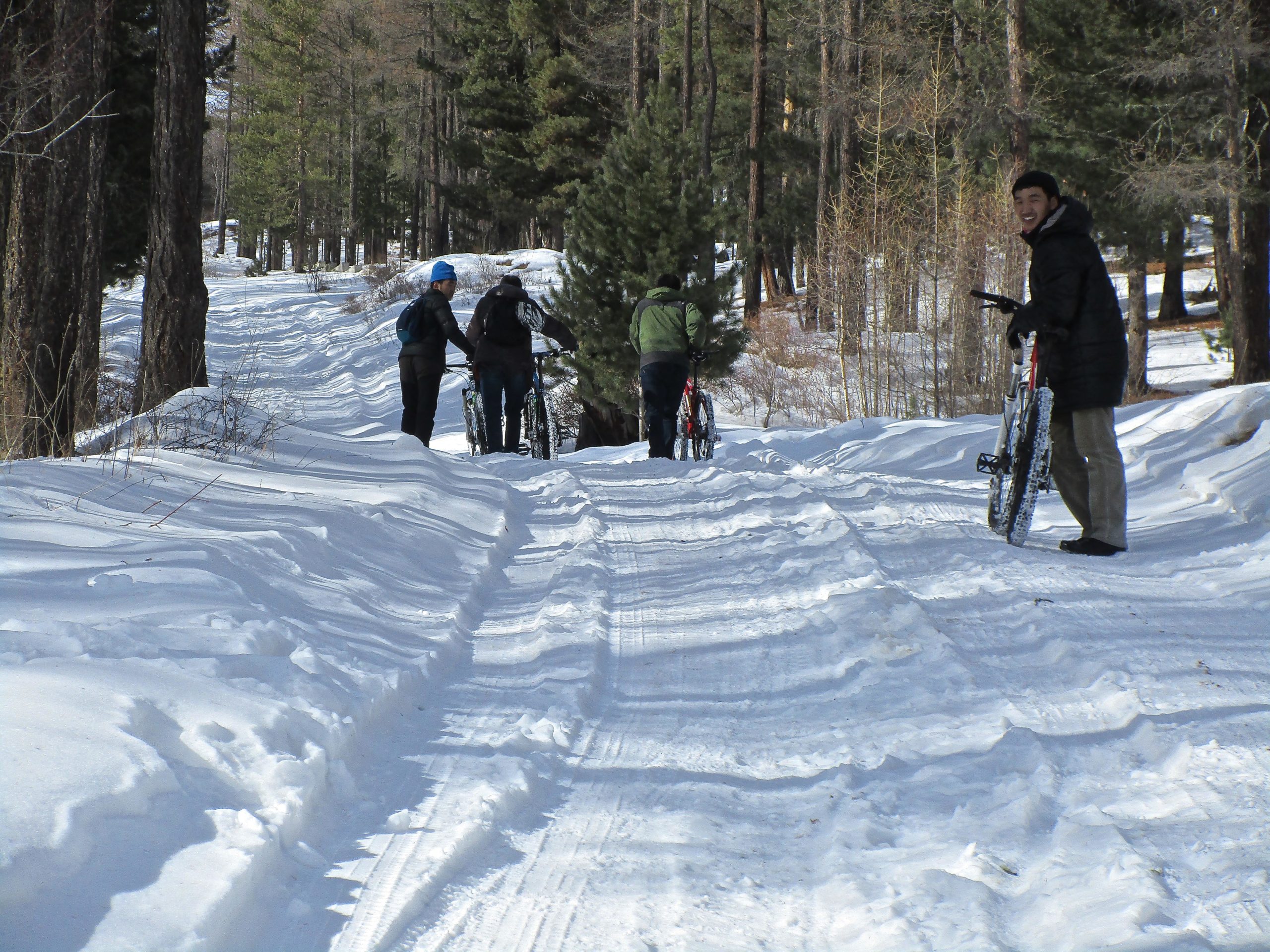 A snowy forest path with four people standing near their bicycles. Two individuals are assisting each other while another person is smiling at the camera. Tall trees line the trail, which is covered in a thick layer of snow. Shargamorit Khandgait Hills East mountain bike trail.