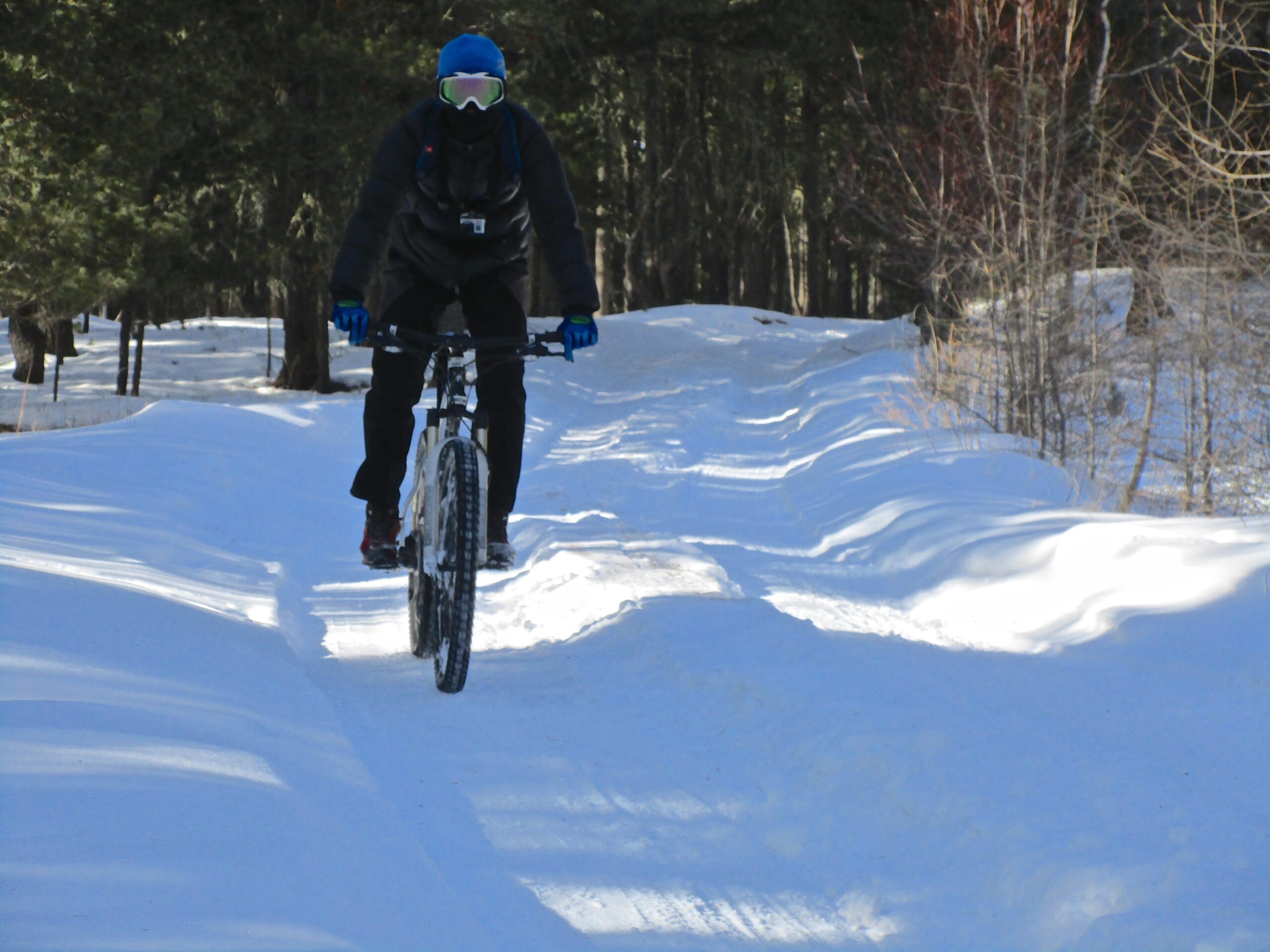 A person riding a mountain bike on a snow-covered path in a forested area. The cyclist is wearing winter clothing, including a blue hat and goggles, and is navigating through fresh snow with trees lining the trail. Shargamorit Khandgait Hills East mountain bike trail.
