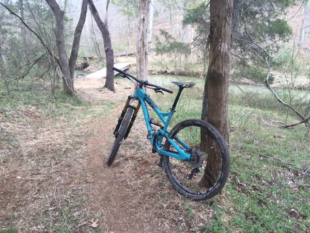A turquoise mountain bike leaning against a tree along a dirt trail in a wooded area near a small stream. Light green foliage surrounds the bike, indicating an outdoor setting during early spring. The Greens mountain bike trail.