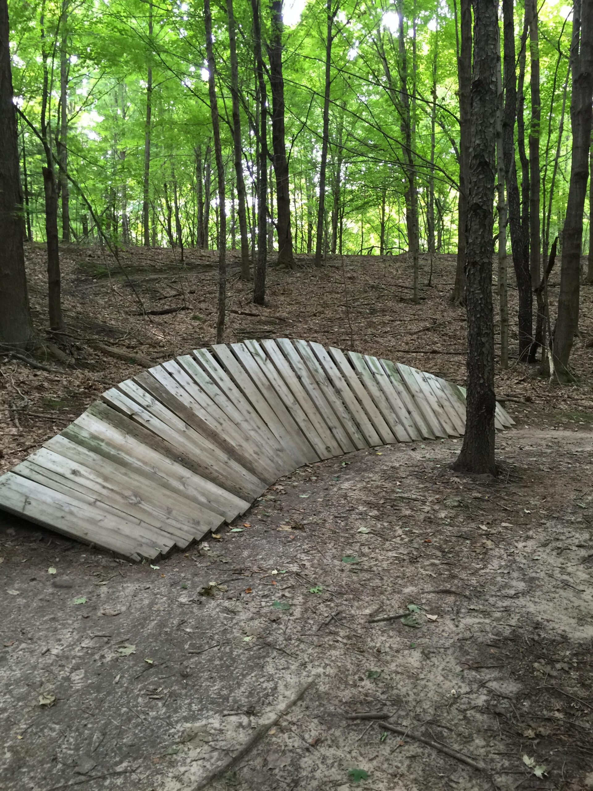 A wooden ramp with a wavy design, situated on a dirt path in a wooded area with lush green trees and leaves. The ramp is partially covered in soil and surrounded by fallen leaves and branches, creating a natural setting. Anderson Park mountain bike trail.