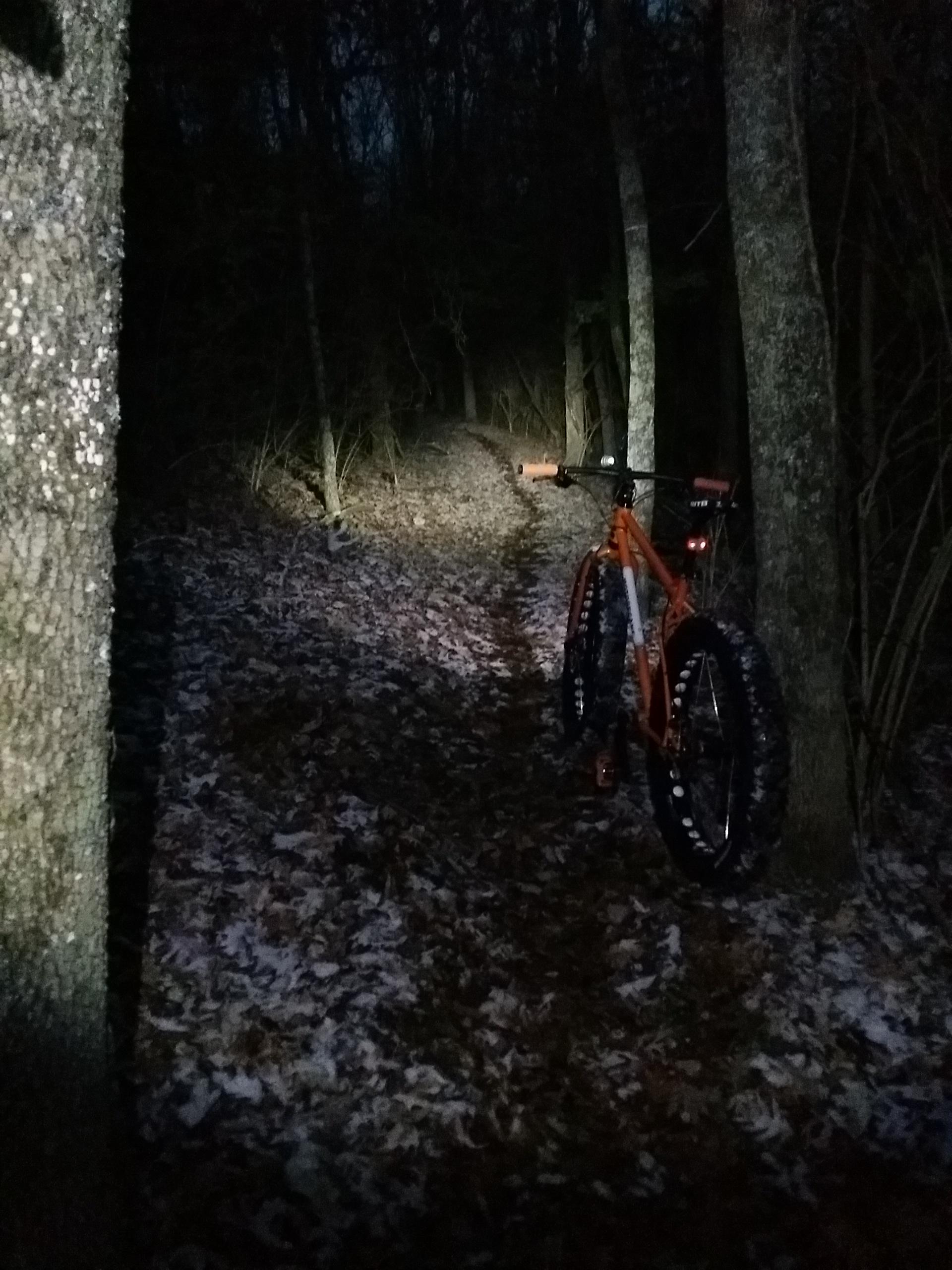 A fat tire bike stands beside a leaf-covered trail in a dimly lit wooded area. The path is illuminated by the bike's headlight, revealing a narrow, winding way through the trees. Shadows from the surrounding foliage create a mysterious atmosphere in the twilight. England Idlewild Mountain Biking Park mountain bike trail.
