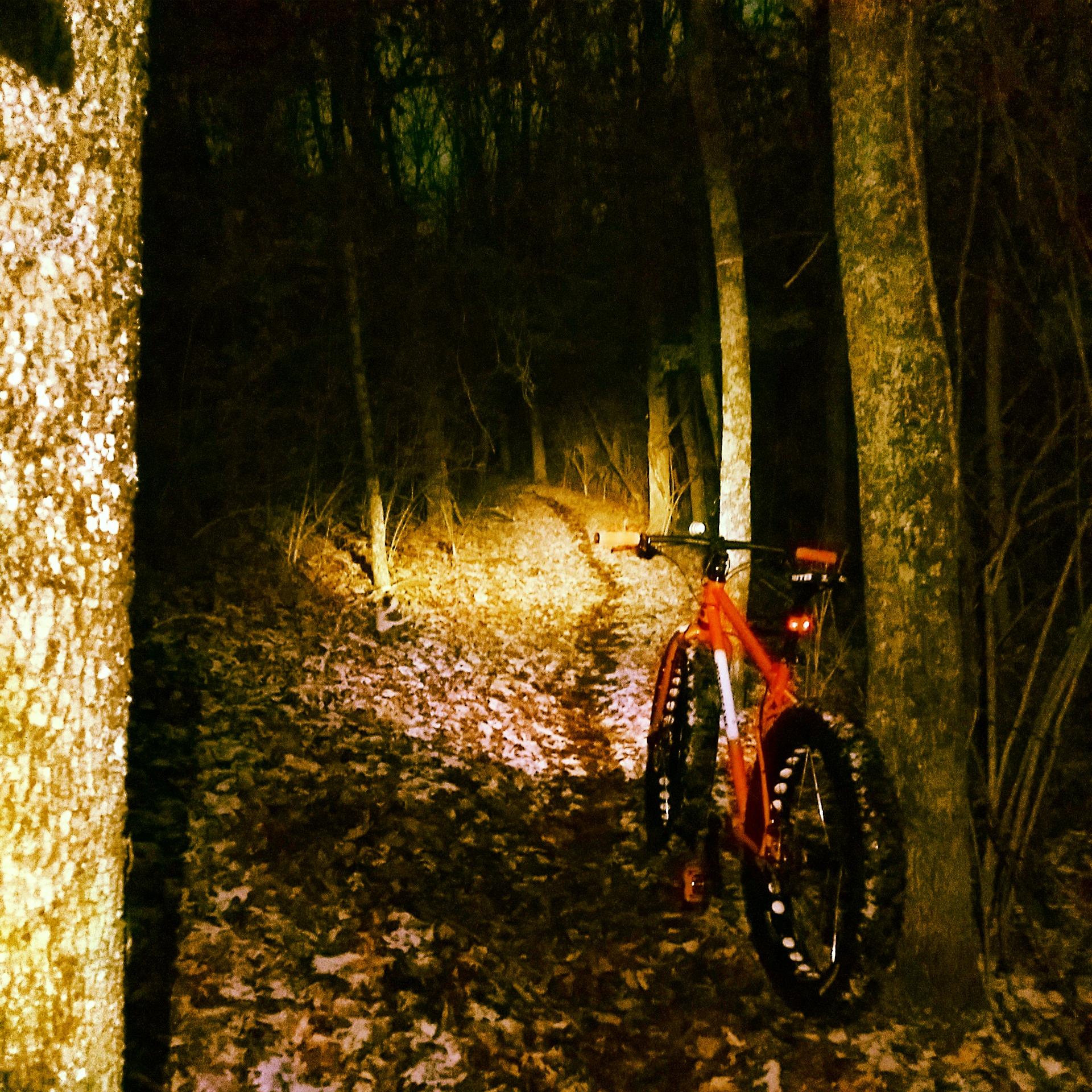 An orange mountain bike is parked on a leaf-covered dirt trail in a dimly lit forest. Surrounding trees create a secluded atmosphere, and a faint light illuminates the path ahead. England Idlewild Mountain Biking Park mountain bike trail.