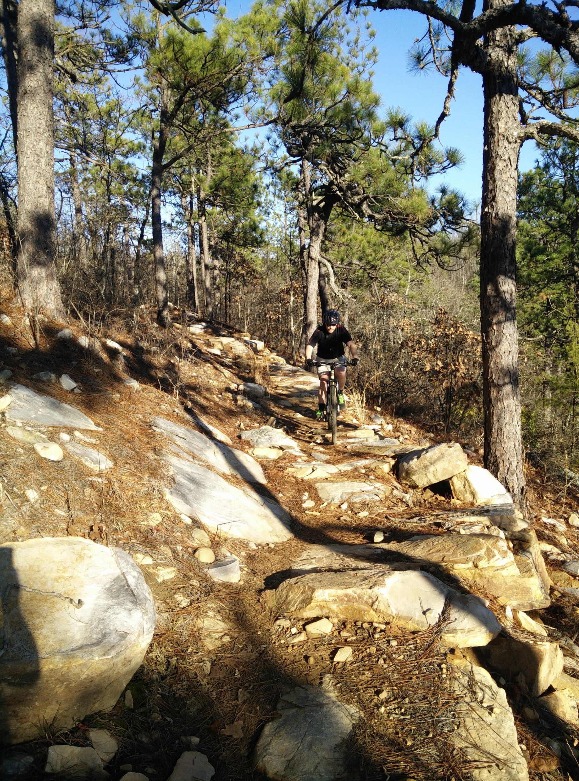 A mountain biker navigating a rocky trail surrounded by tall trees under a clear blue sky. The path is lined with large stones, and the cyclist is wearing a helmet and riding gear. Pine needles and dry leaves cover the ground, indicating the outdoor setting. Coldwater Mountain mountain bike trail.