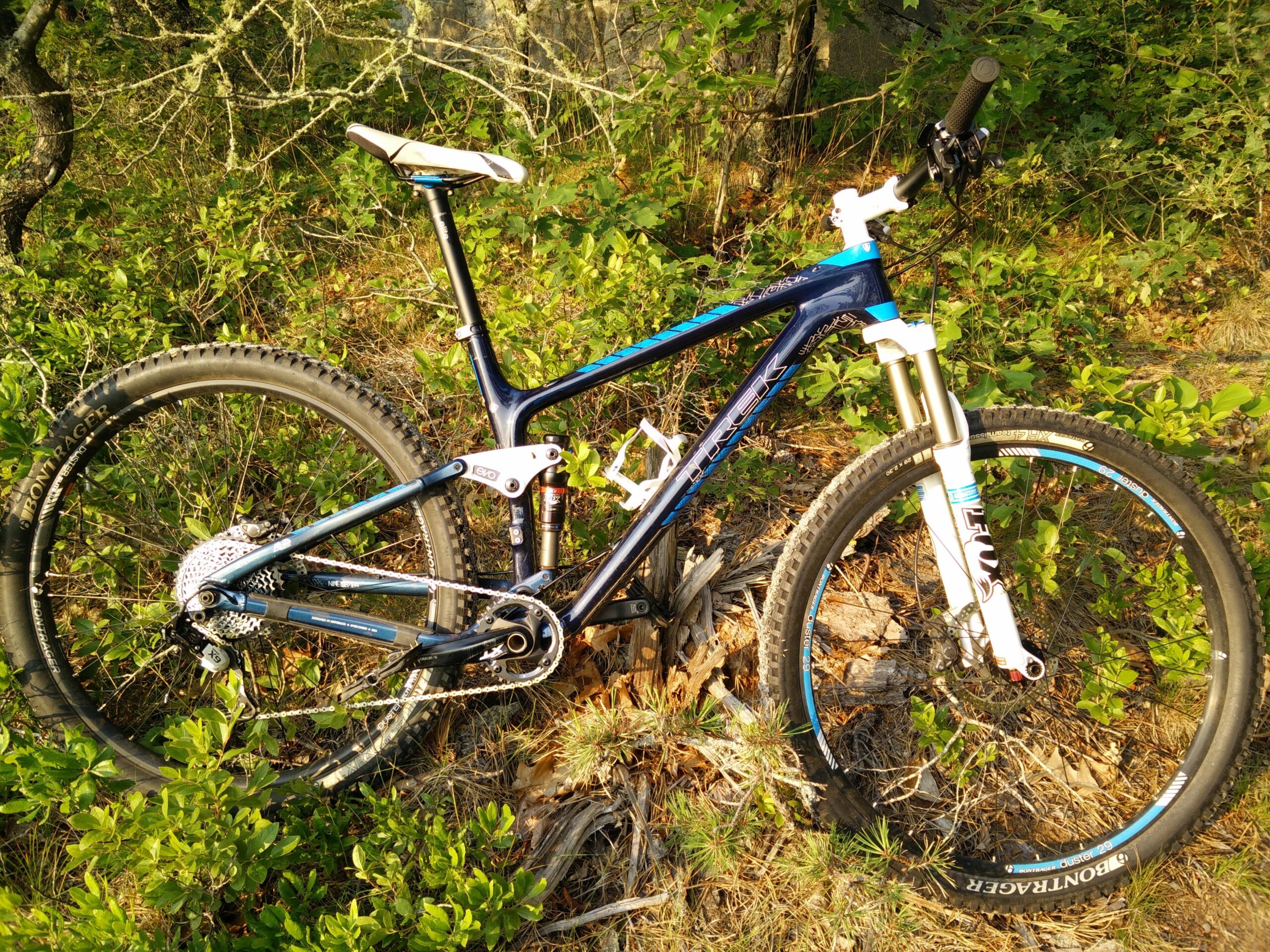 Trek Fuel EX 9.7 29: A mountain bike positioned on a grassy area surrounded by dense vegetation. The bike features a blue and black frame, prominent suspension forks, and wide tires designed for off-road terrain. The sunlight casts a warm glow on the scene, highlighting the bike's details and the surrounding greenery.