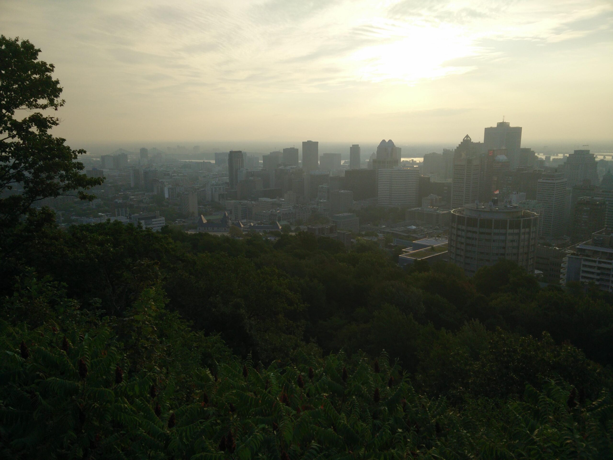 A panoramic view of a city skyline at sunrise, with a mix of modern buildings partially obscured by a haze. In the foreground, lush greenery can be seen, while the horizon features a river and faint outlines of additional structures in the distance, creating a tranquil and atmospheric scene. Parc du Mont-Royal mountain bike trail.
