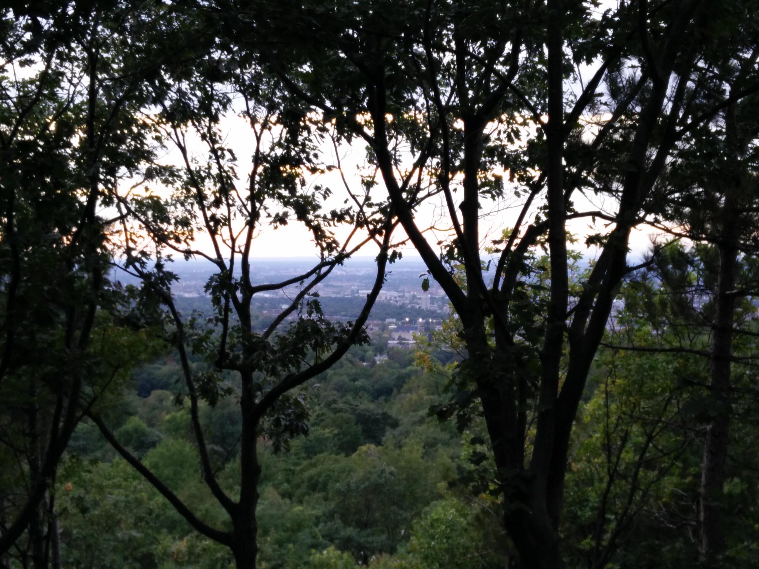 A view of a lush, green landscape framed by trees, with a soft evening light illuminating the horizon and distant cityscape. Parc du Mont-Royal mountain bike trail.