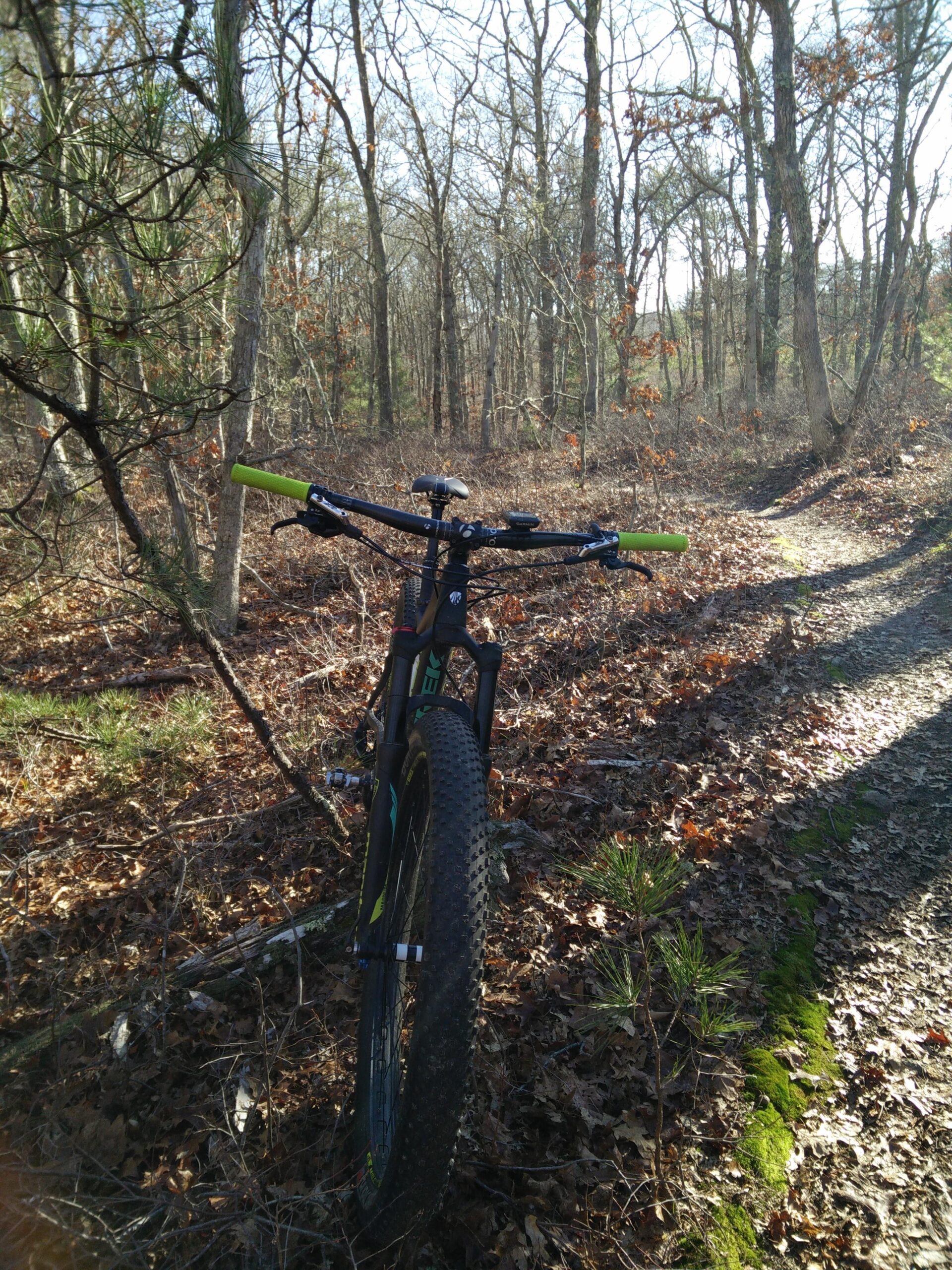 Trek Stache 9 29 Plus: A mountain bike parked on a trail surrounded by trees and dry leaves. The handlebars feature green grips, and the background shows a wooded area with sparse foliage and sunlight filtering through the branches.