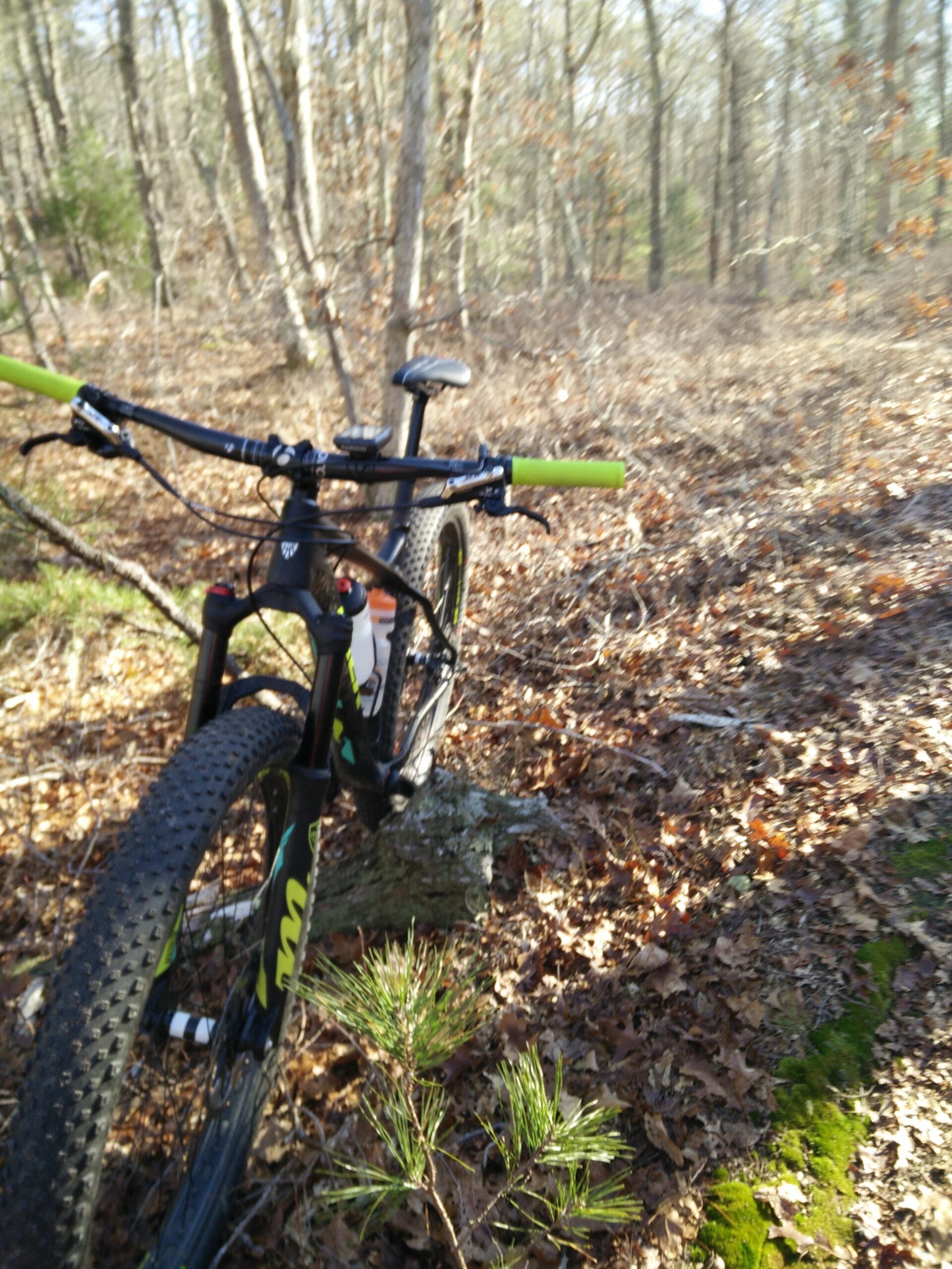 Trek Stache 9 29 Plus: A black mountain bike with green handlebars stands on a dirt path surrounded by trees and underbrush. The scene captures a natural forest setting with fallen leaves and moss visible on the ground.