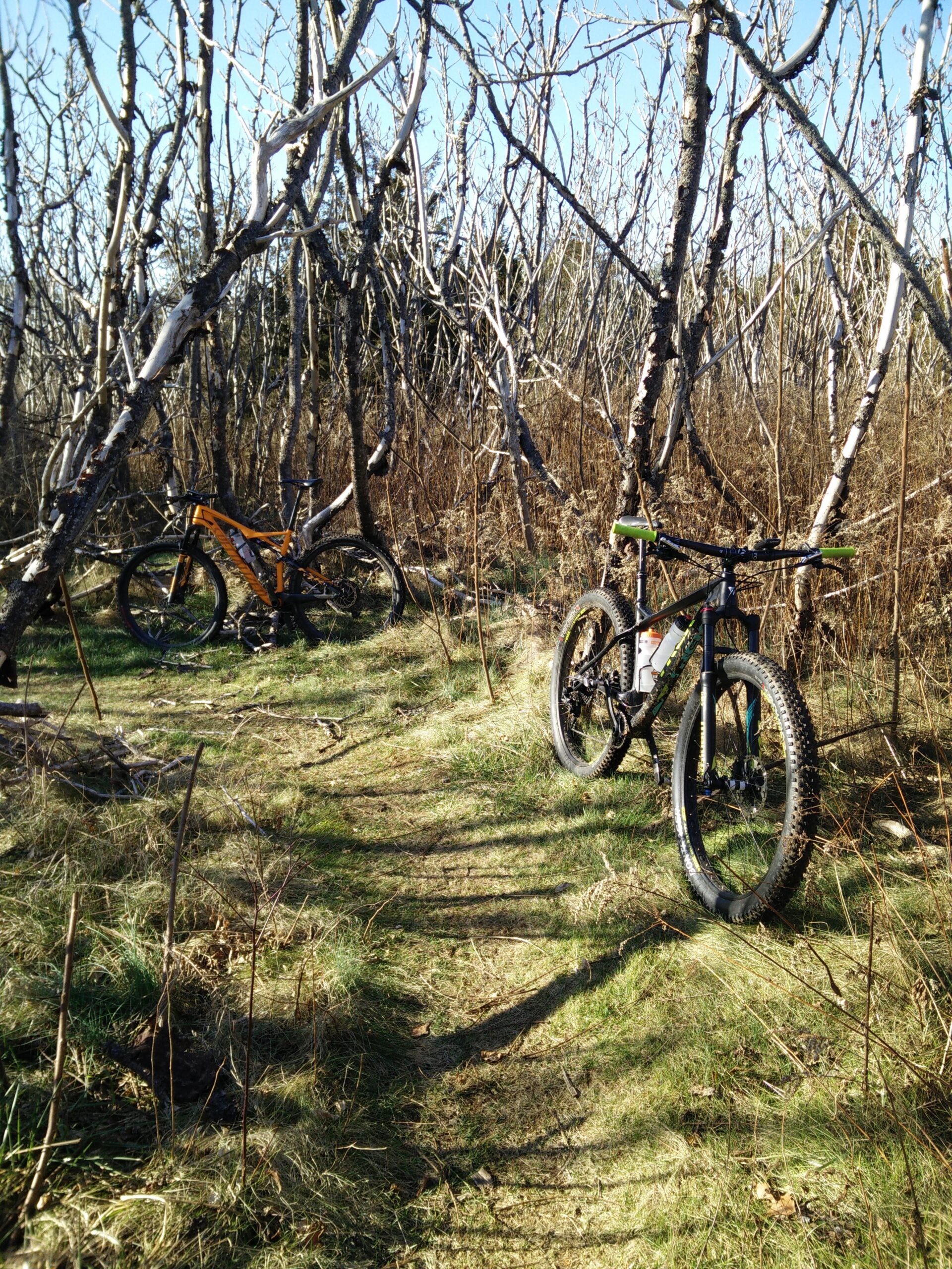 Trek Stache 9 29 Plus: Two mountain bikes are parked on a grassy trail surrounded by bare trees and shrubs, with sunlight filtering through the branches. The trail appears secluded and natural, suggesting a potential for outdoor adventure and exploration.