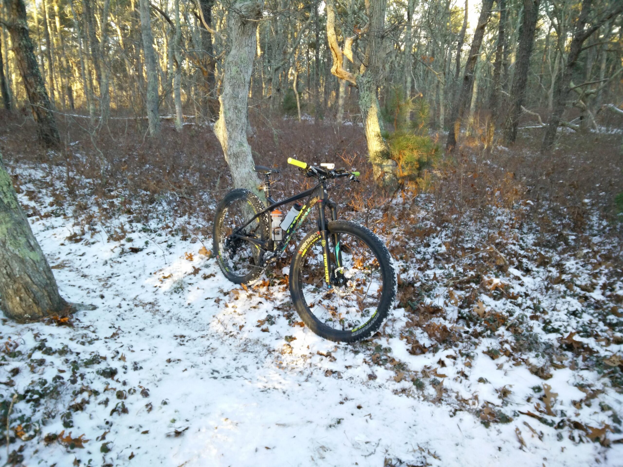 Trek Stache 9 29 Plus: A mountain bike leaning against a tree in a winter forest setting, surrounded by snow and fallen leaves. The background features trees with sparse foliage, indicating a chilly environment.