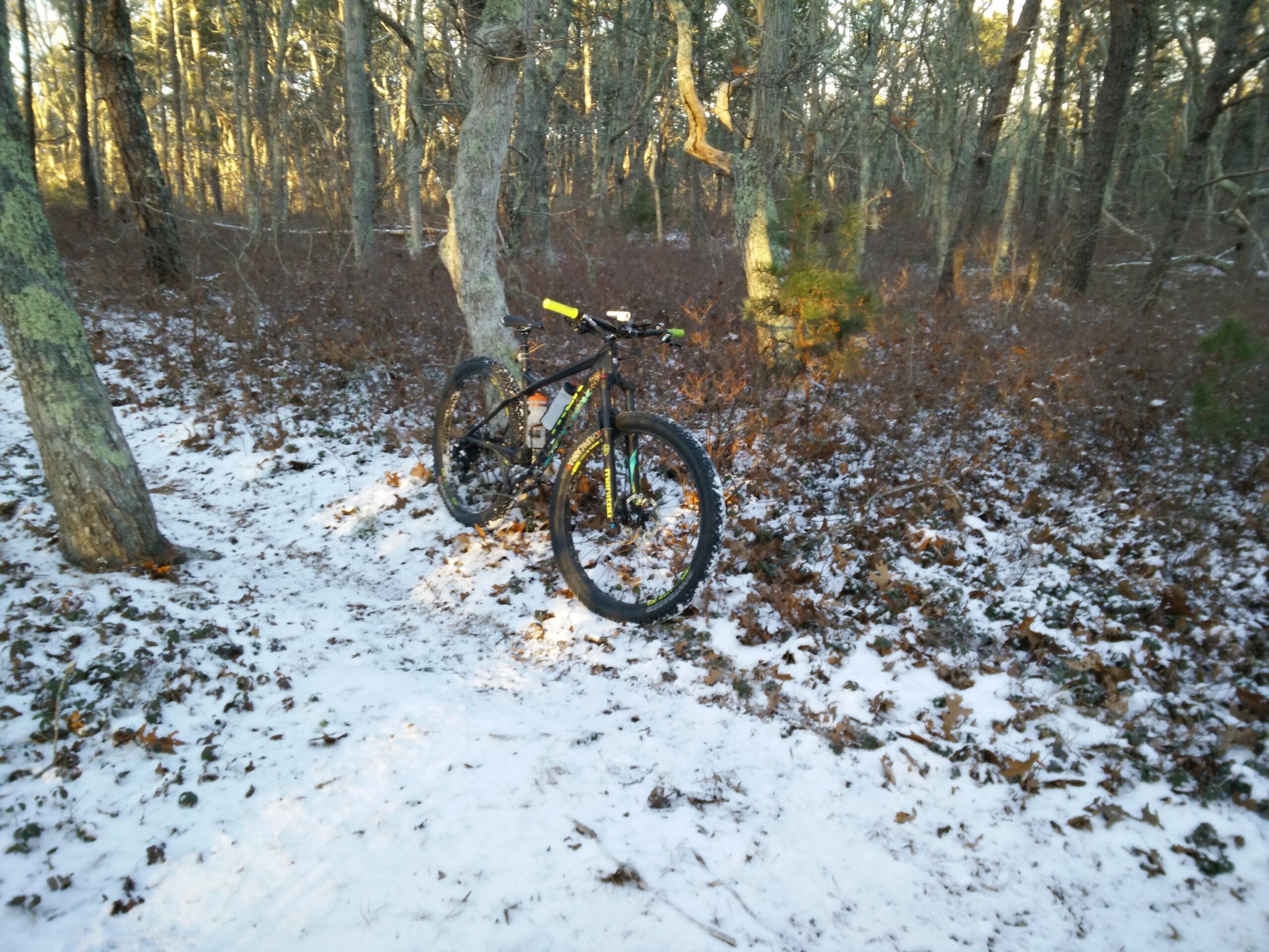 Trek Stache 9 29 Plus: A mountain bike parked on a snowy trail surrounded by trees and brown foliage in a forested area.