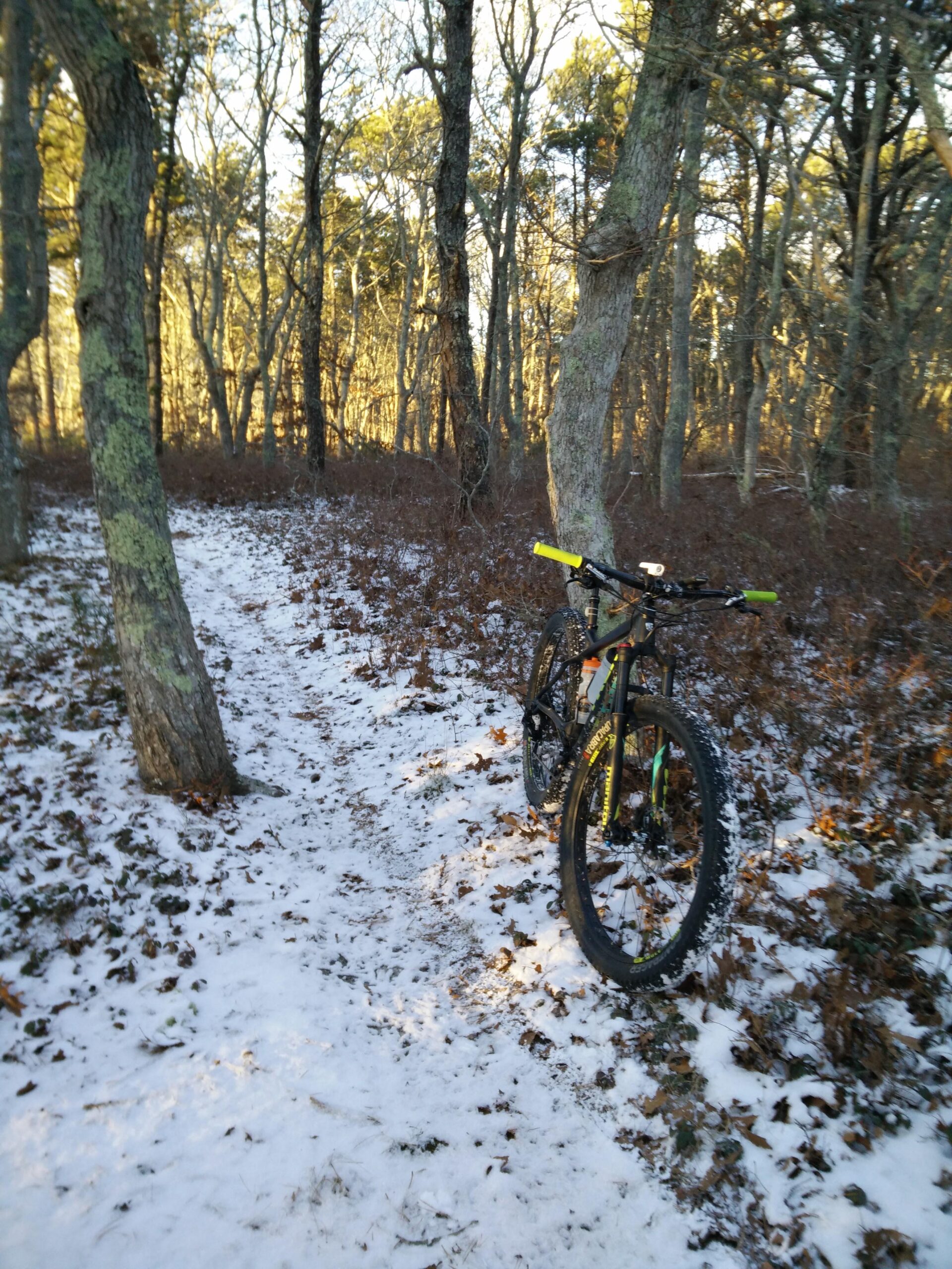 Trek Stache 9 29 Plus: A mountain bike leaning against a tree on a snow-covered trail, surrounded by bare trees and fallen leaves in a wooded area. The sunlight filters through the branches, creating a serene winter atmosphere.